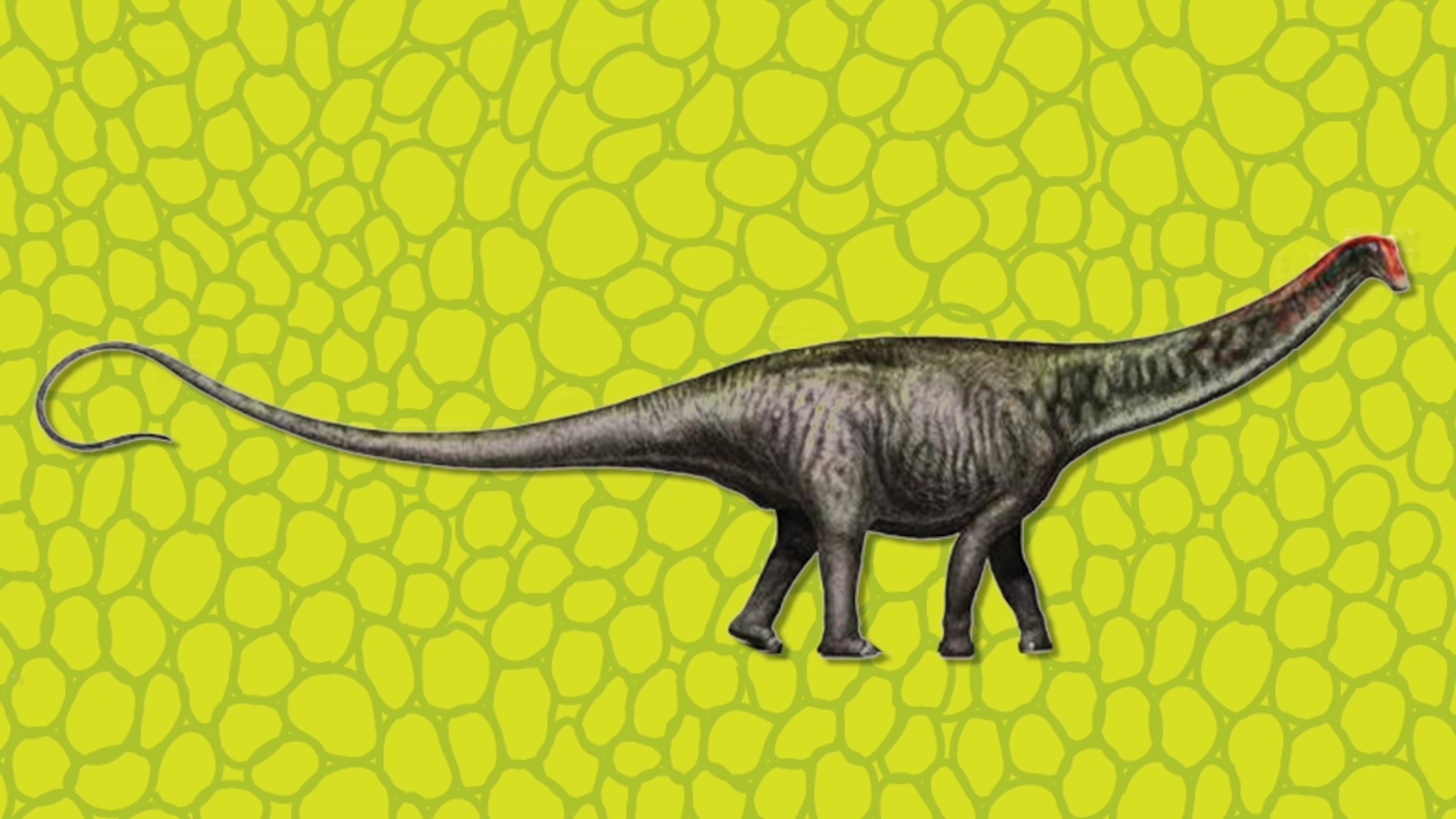Powerpoint Brontosaurus Brontosaurus Fun Facts