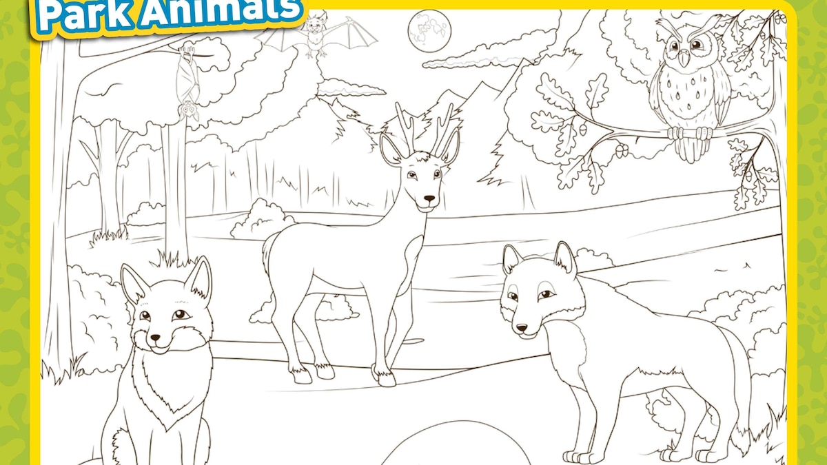 National parks printables | National Geographic Kids