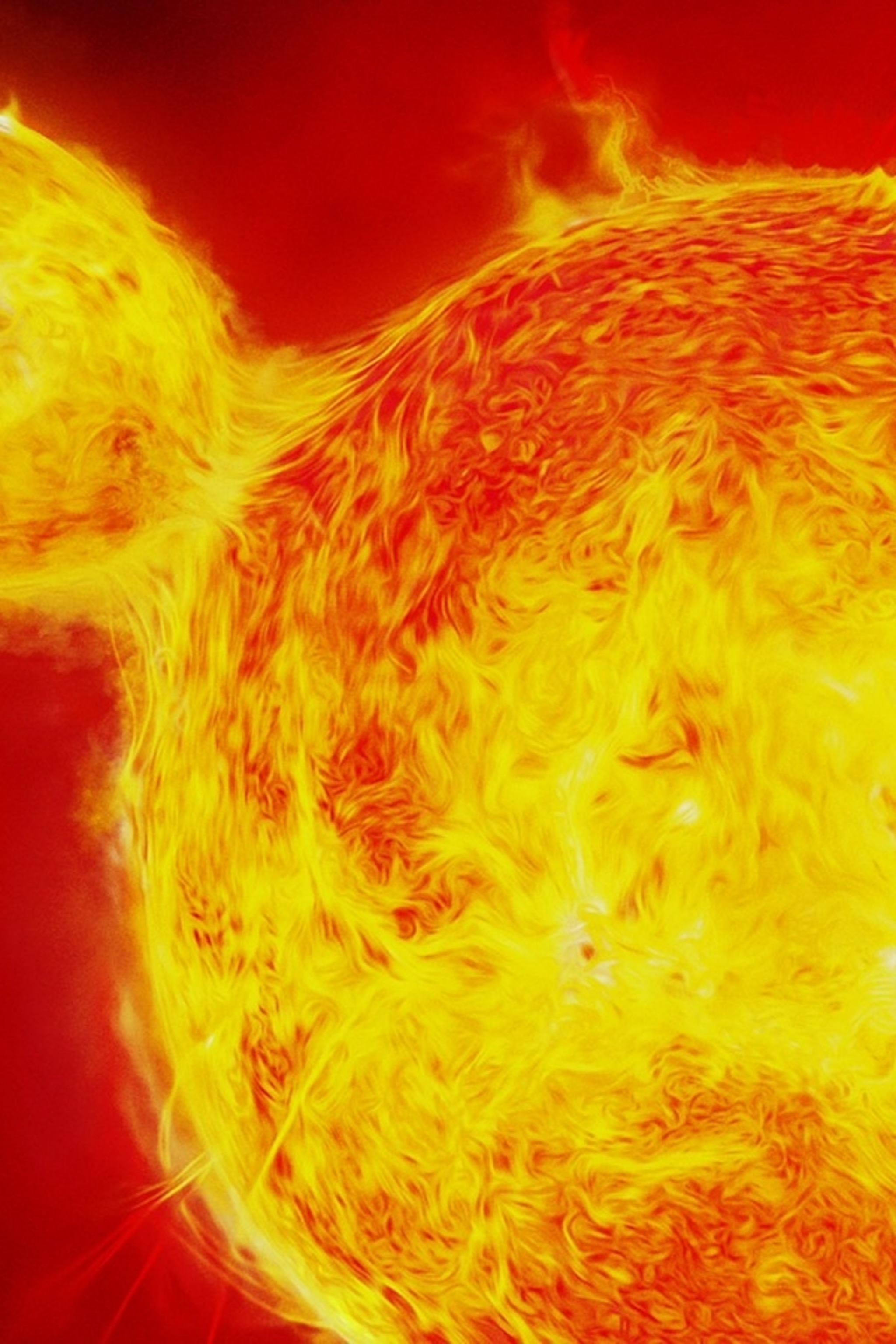 Gigantic Double Sun | National Geographic Kids