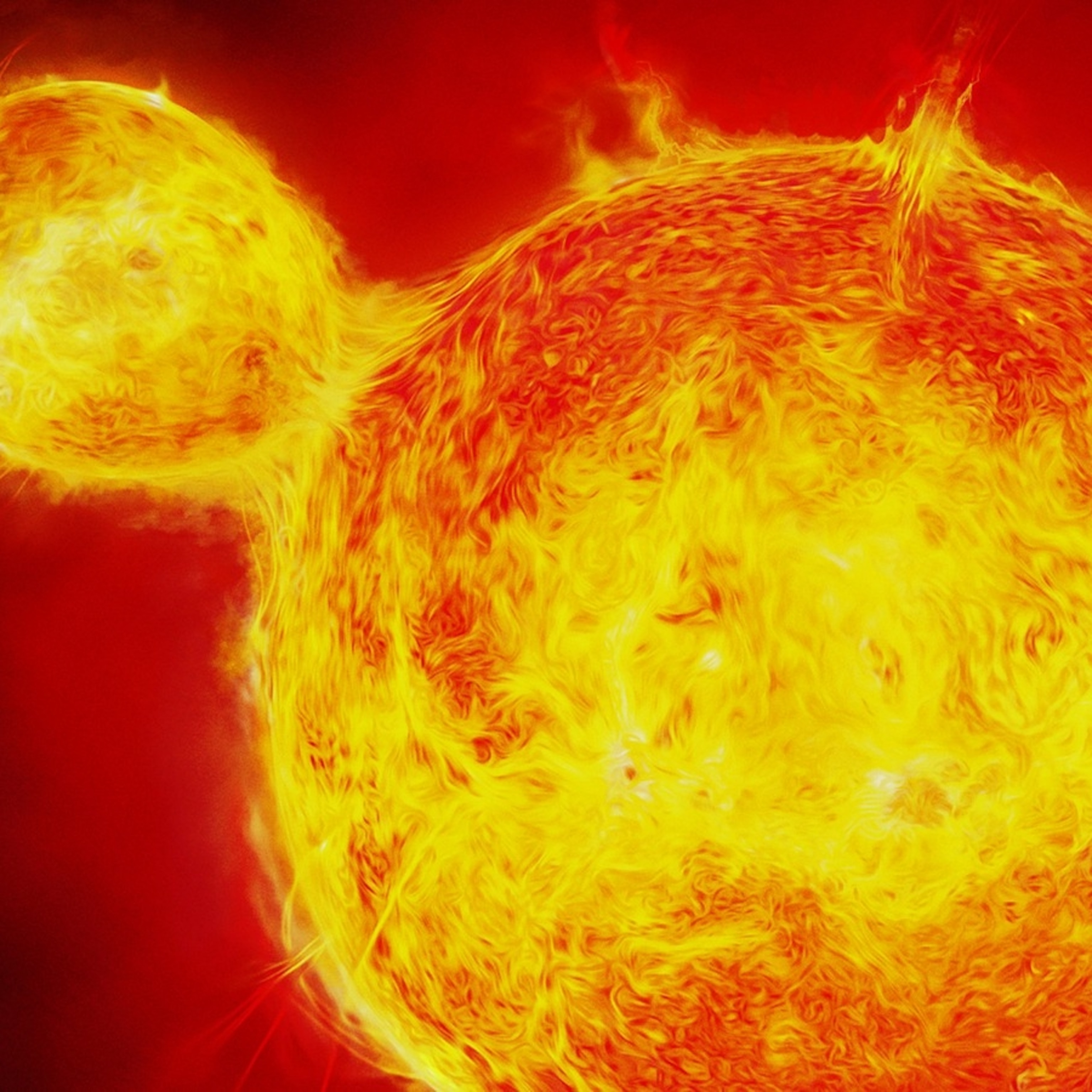 Gigantic Double Sun | National Geographic Kids