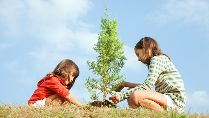two kids planting a tree