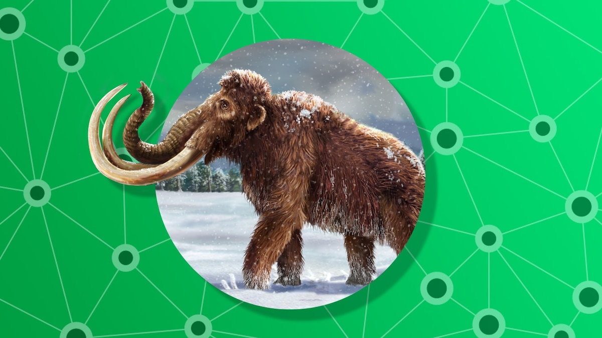 Time period personality quiz