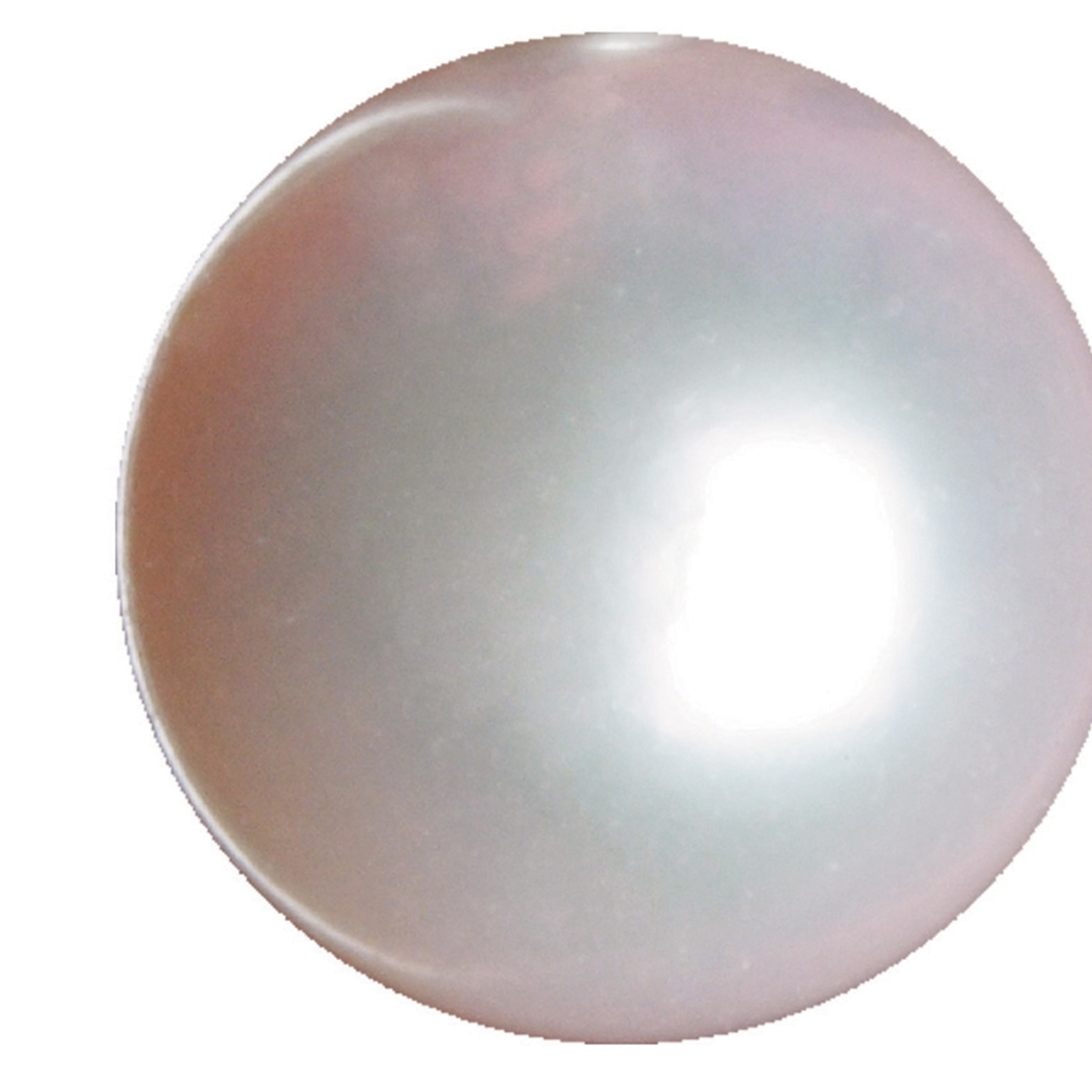 Pearl | National Geographic Kids Pearl | National Geographic Kids