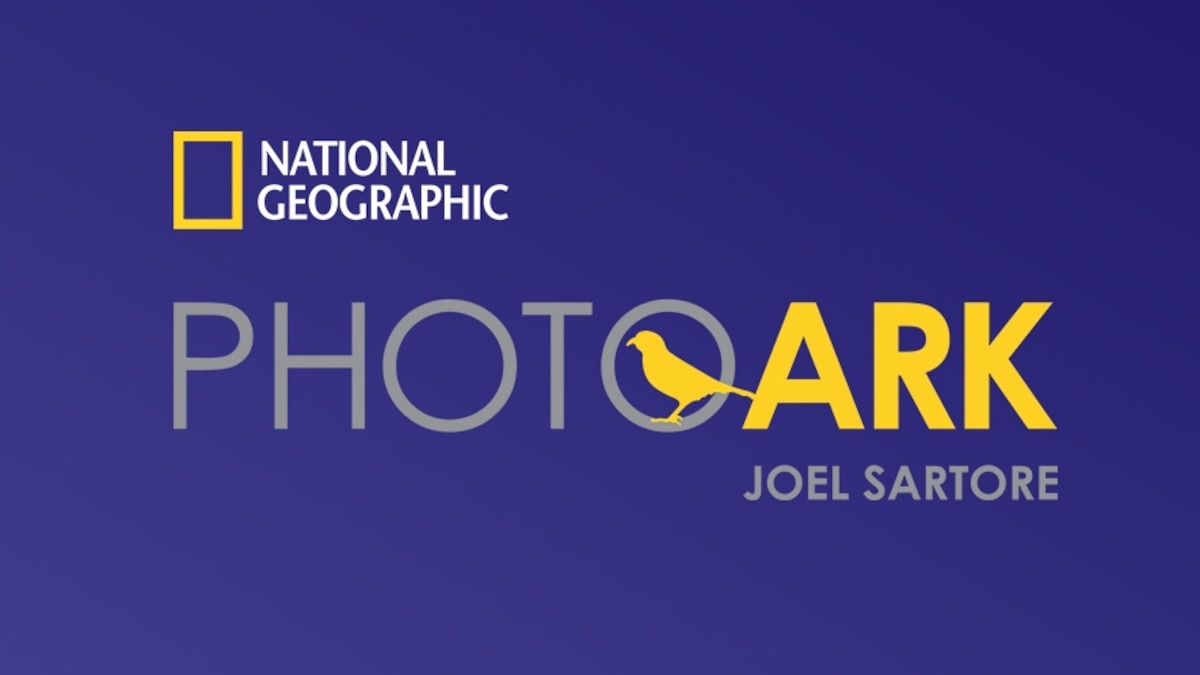 Puzzles Photo Ark National Geographic Kids Puzzles photo ark national geographic kids