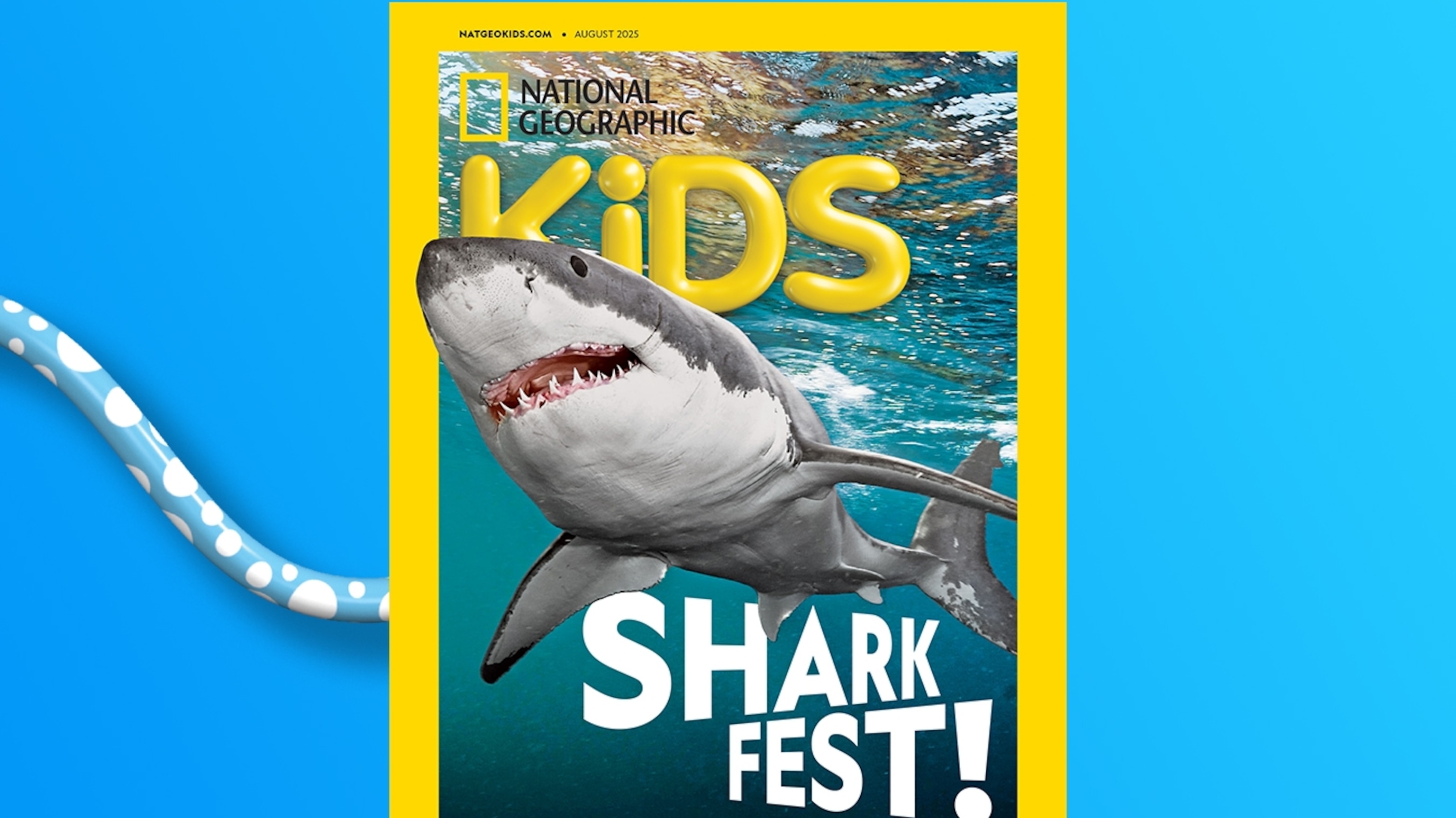 National Geographic Kids P-3 全131冊 Meteors (National Geographic Kids Readers, Level 3): Stewart