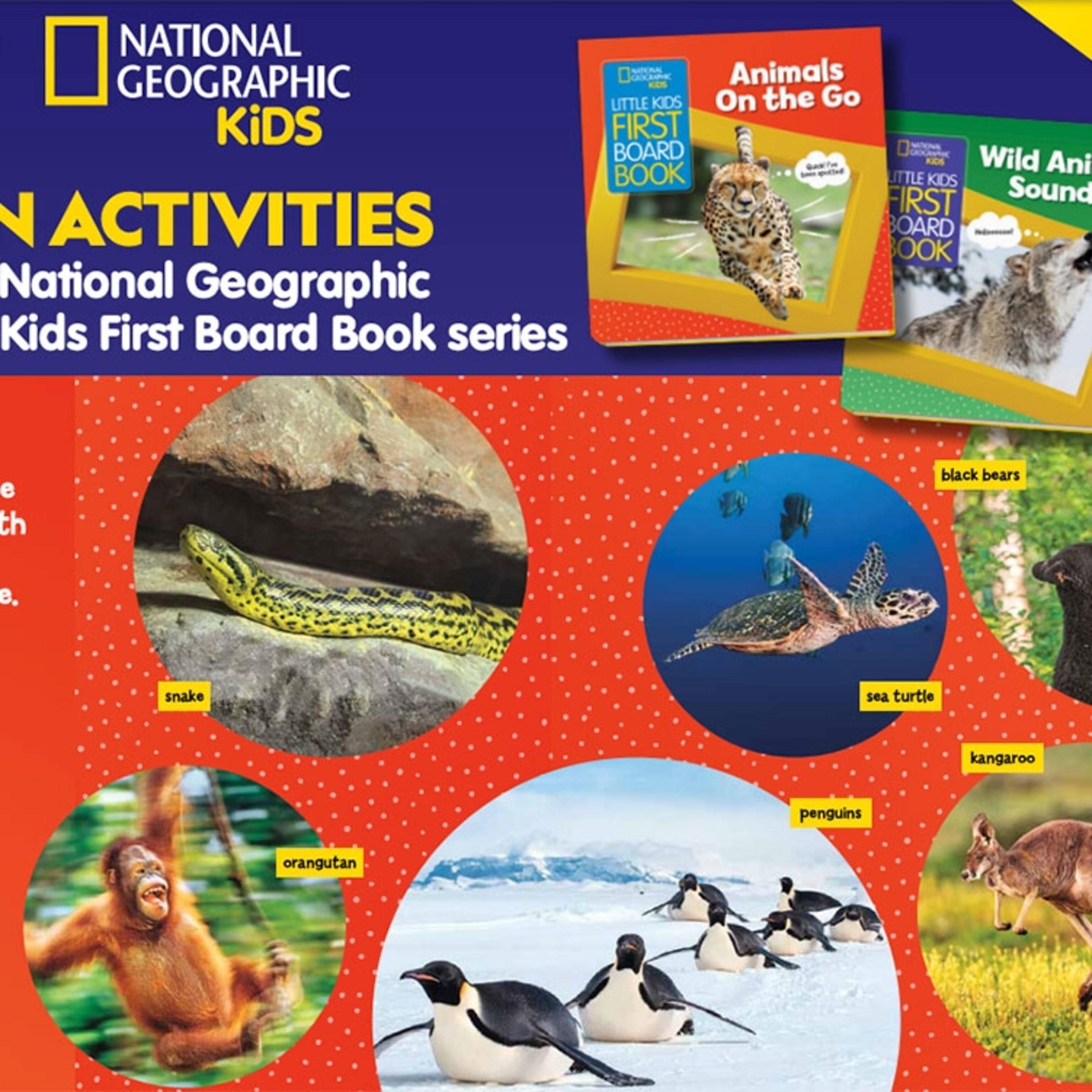 animals-preschool_square.jpg
