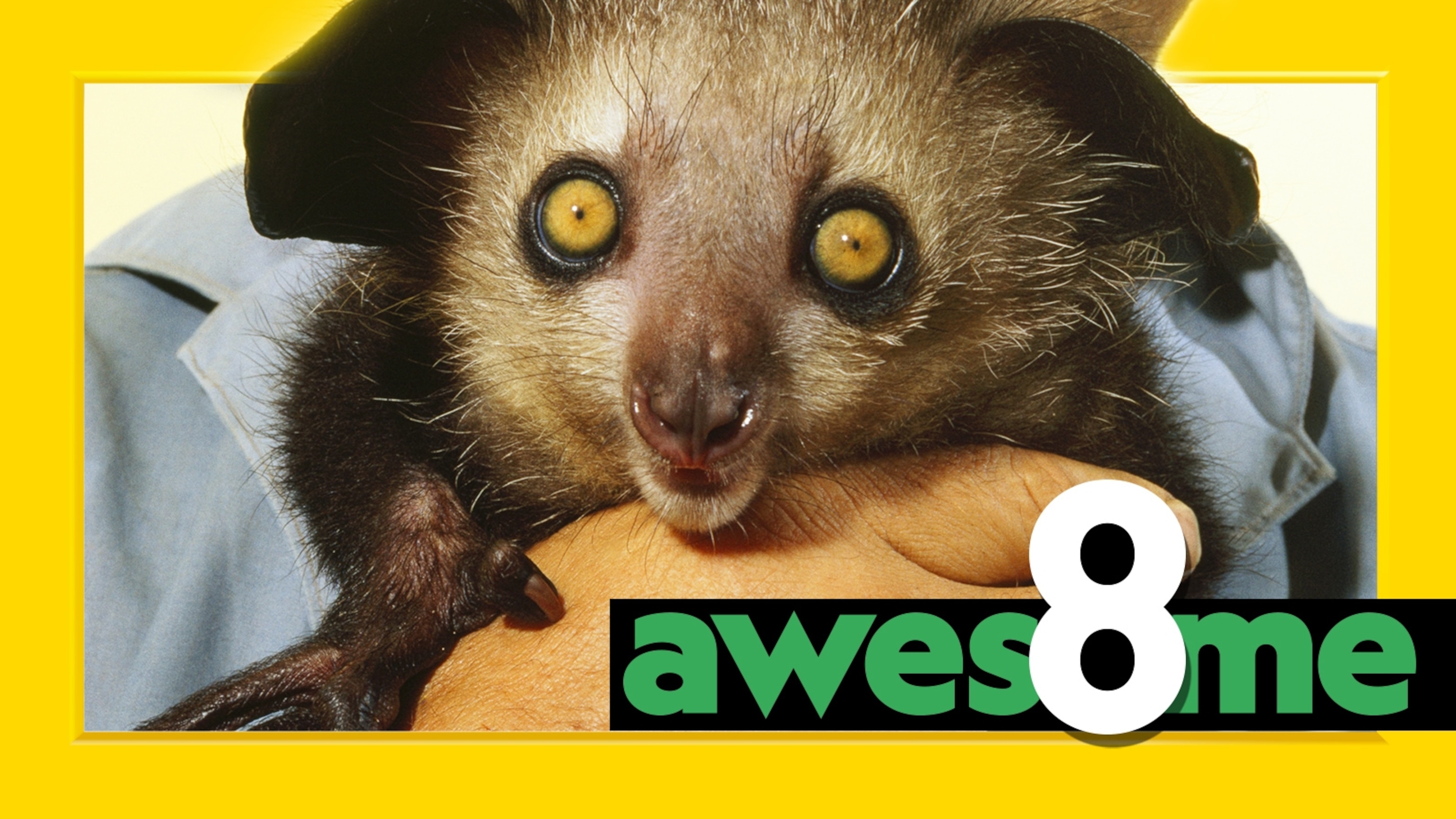 世界の子供 ナショナルジオグラフィック Awesome 8 | National Geographic Kids