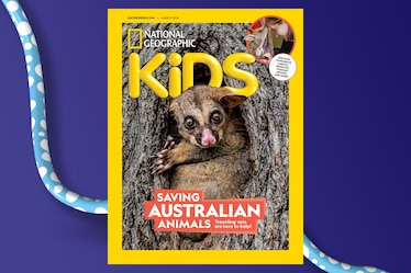 The March 2026 cover of Nat Geo Kids magazine featuring a brushtail possum peeking out of a tree hole plus a smaller photo of a kanagroo joey sniffing the forehead of a woman. The coverlines say: Saving Australian Animals Traveling vets are here to help!