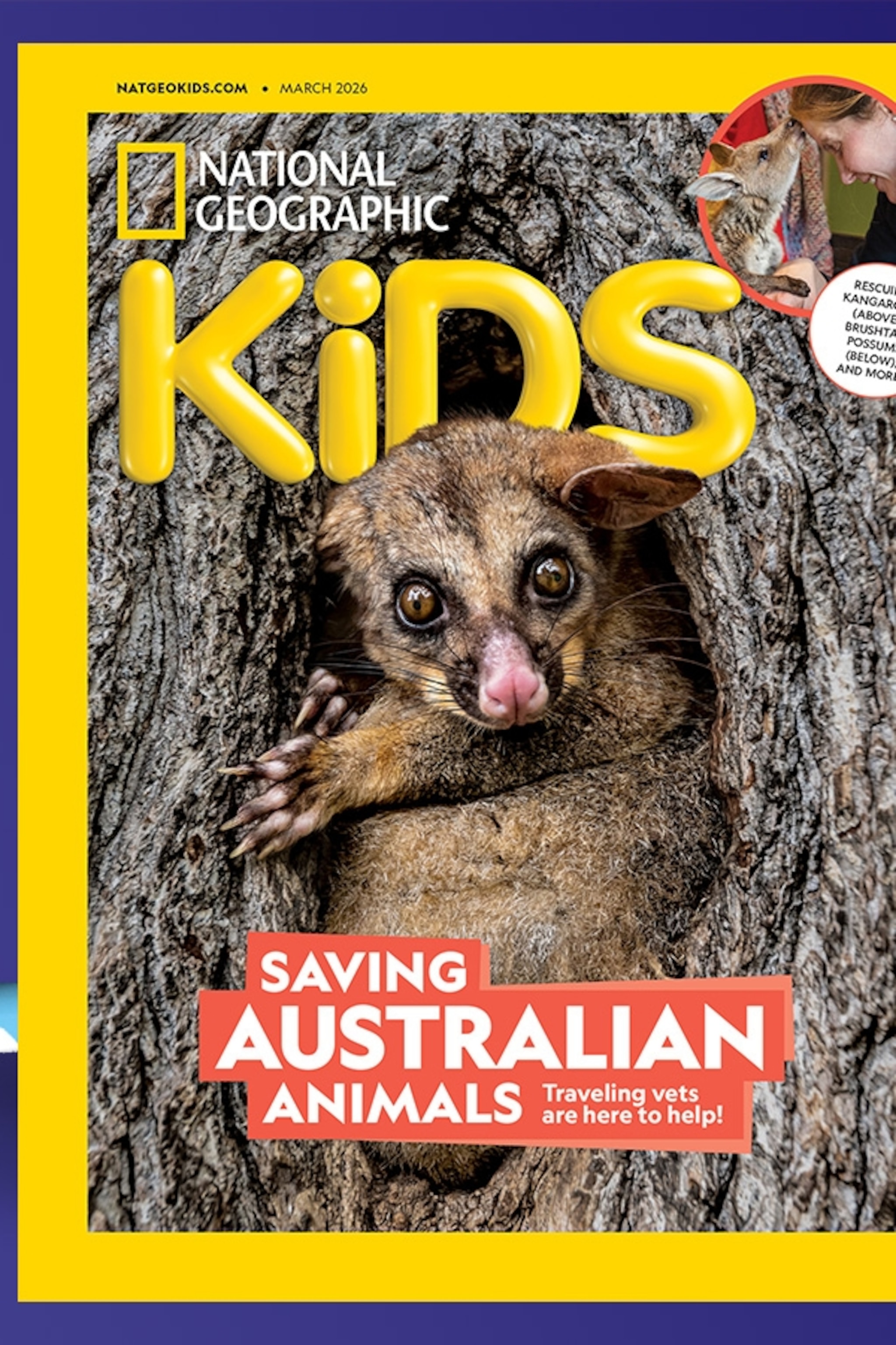National Geographic Kids 本セット 131冊 NATIONAL GEOGRAPHIC KIDS