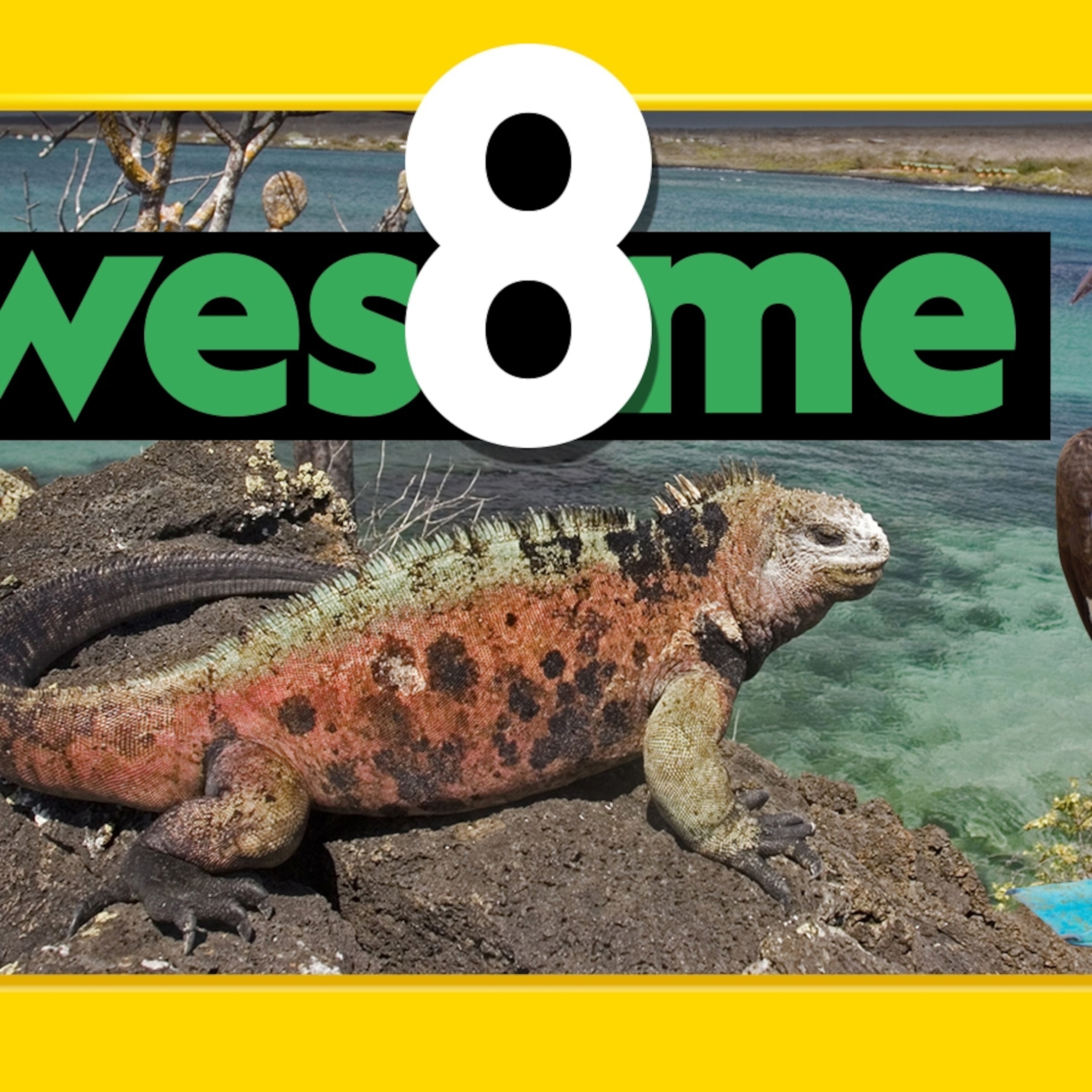 00000167-6087-d8d3-a5e7-