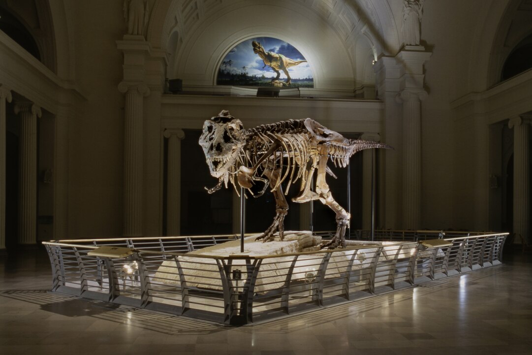 What Is The Most Famous Dinosaur Fossil