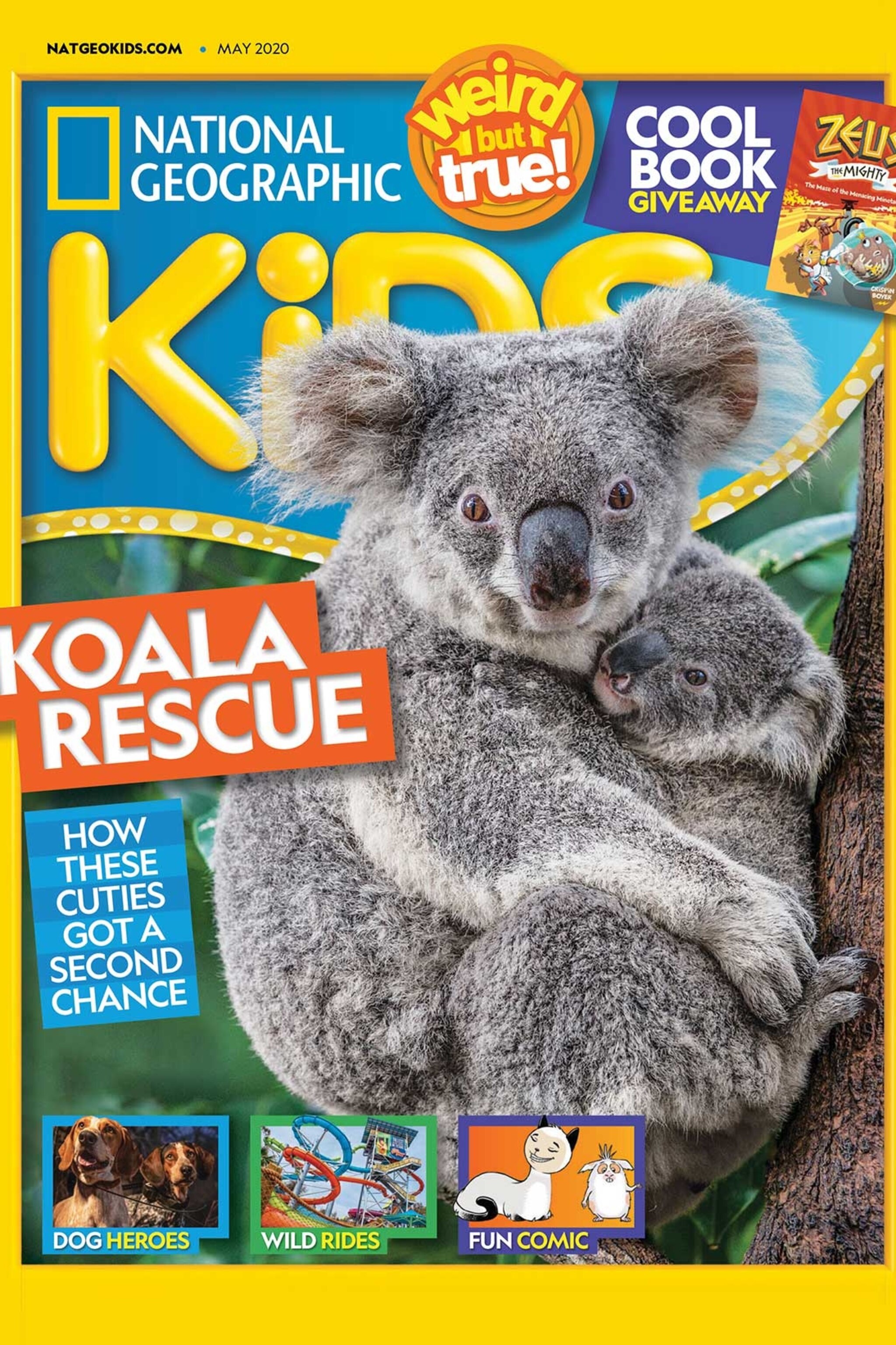 national geographic koala toy