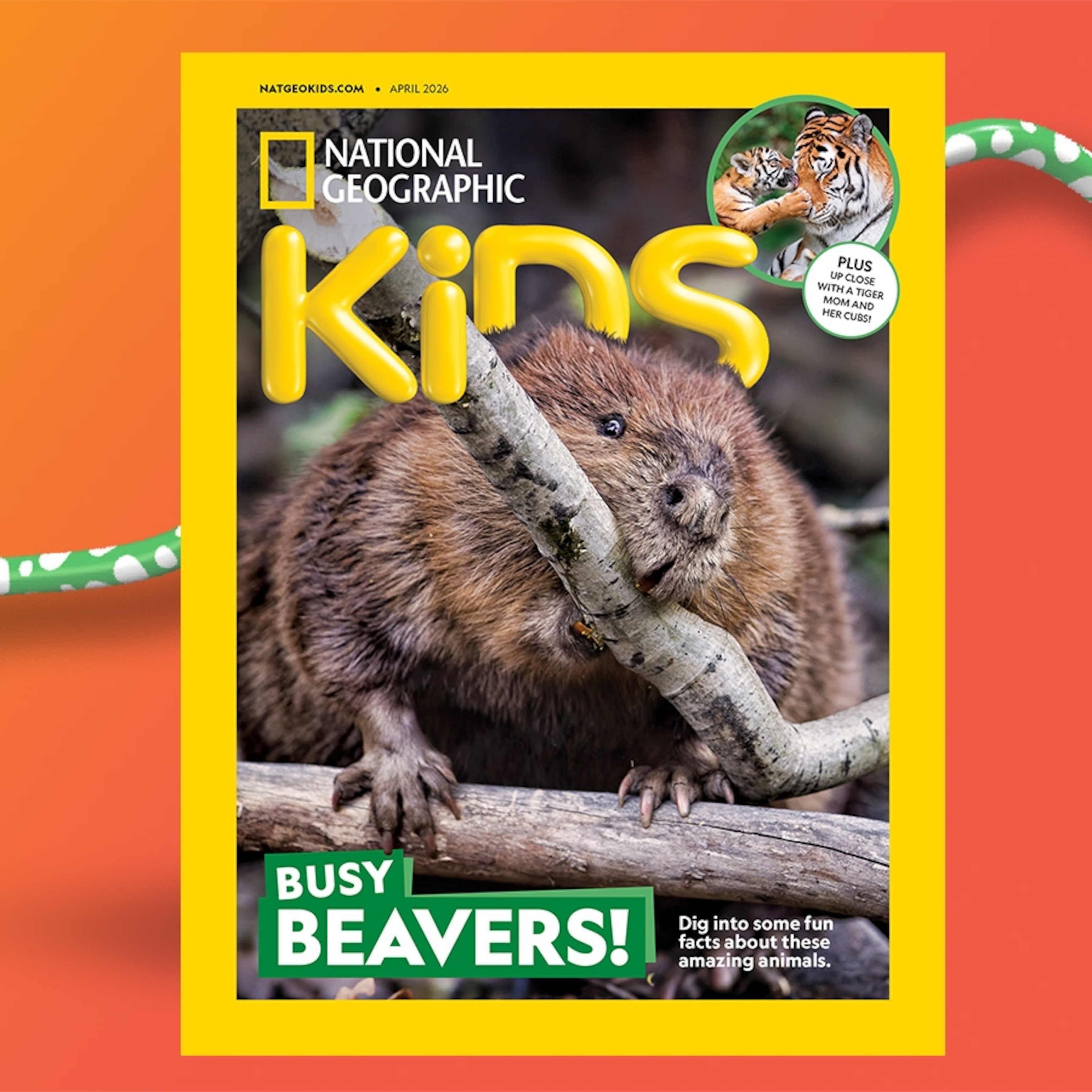 April 2026 sneak peek | National Geographic Kids