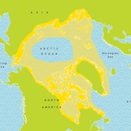 Where Do Polar Bears Live Map