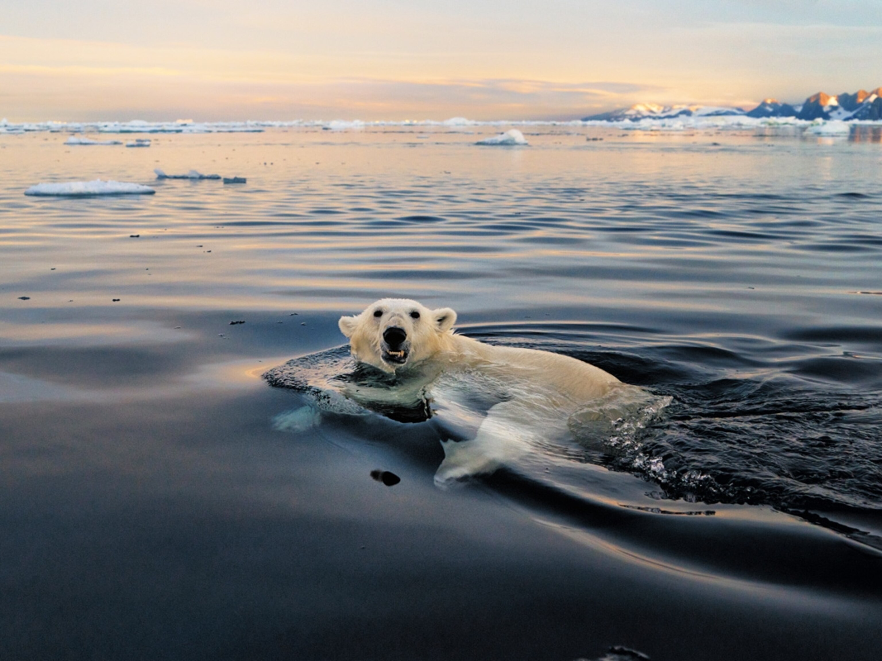 Greenland facts and photos Greenland facts and photos