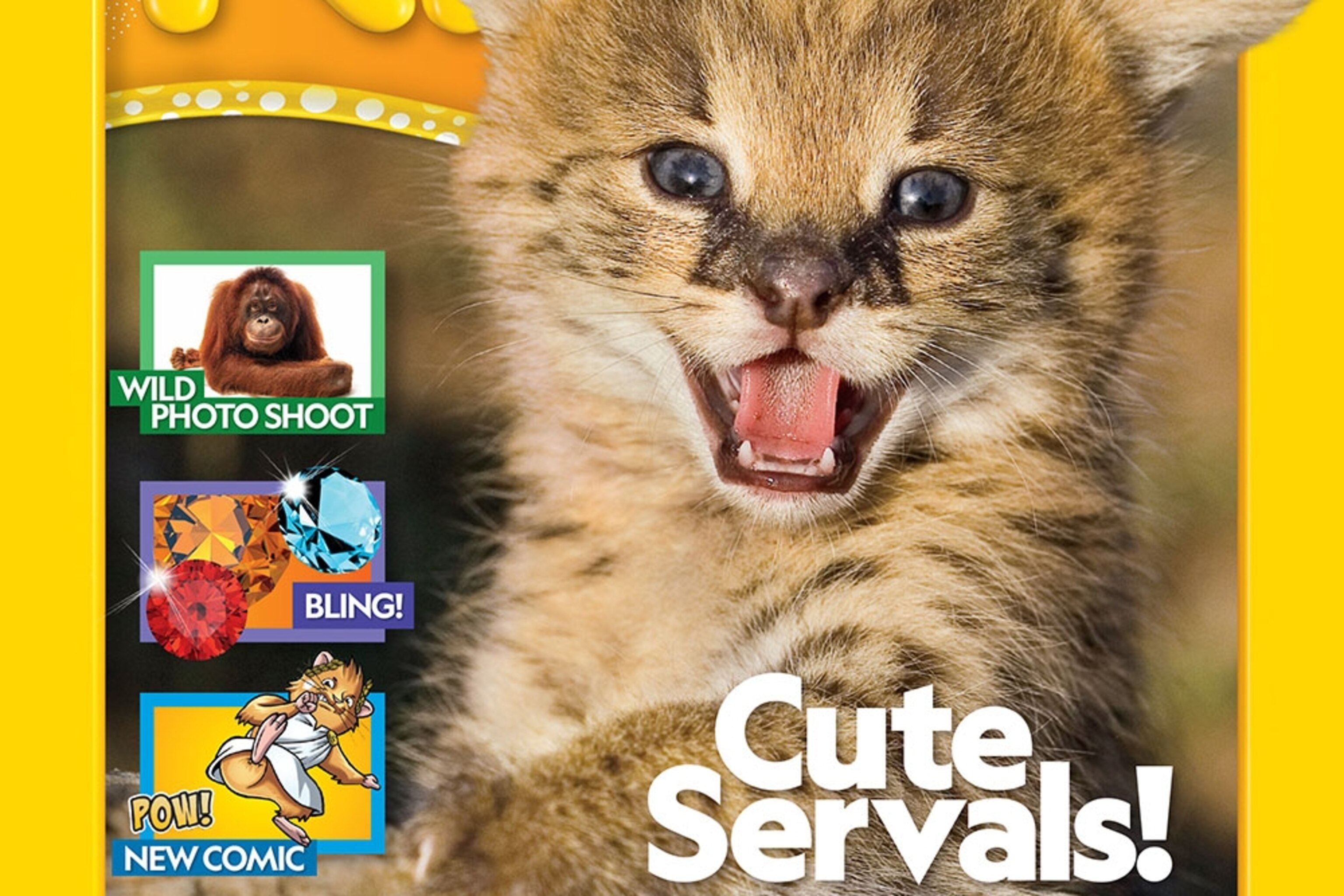 National Geographic Kids Quiz Whiz: 1,000 Super Fun, Mind