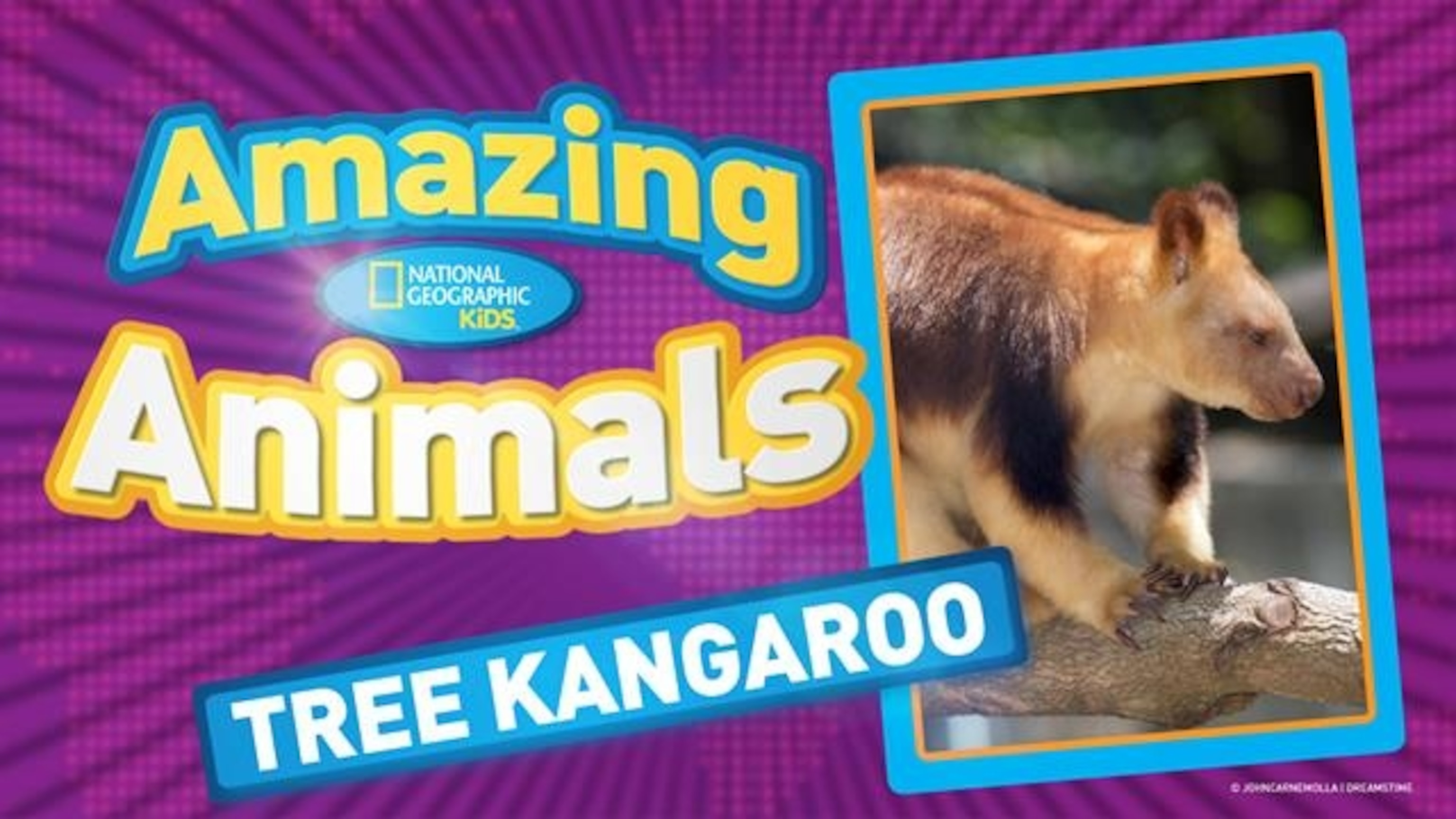 National Geographic Kids | National Geographic Kids