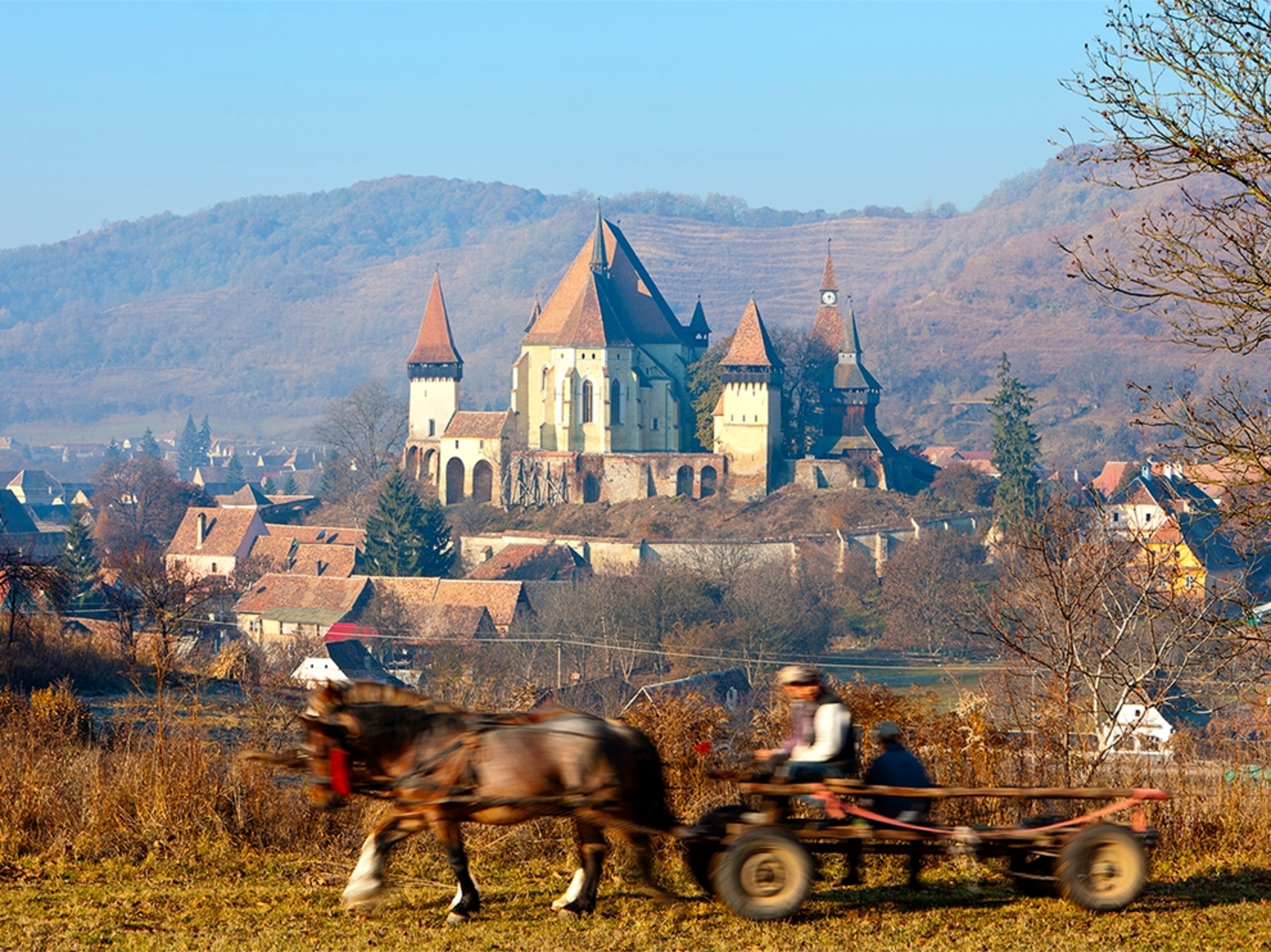 a horse and cart in Sighisoara, Transylvania