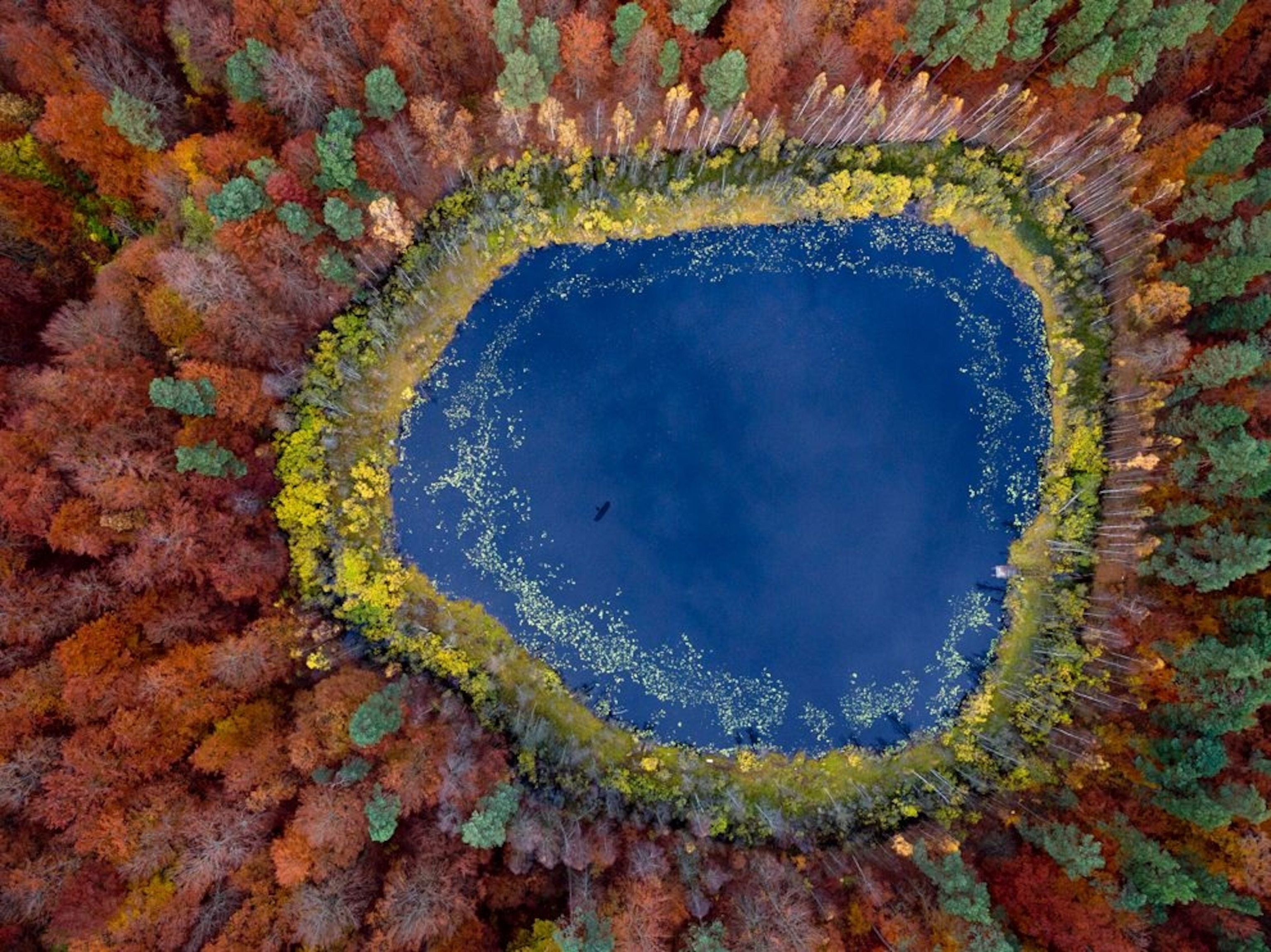 a lake in a forest with autumn trees, Eastern Pomerania, Poland