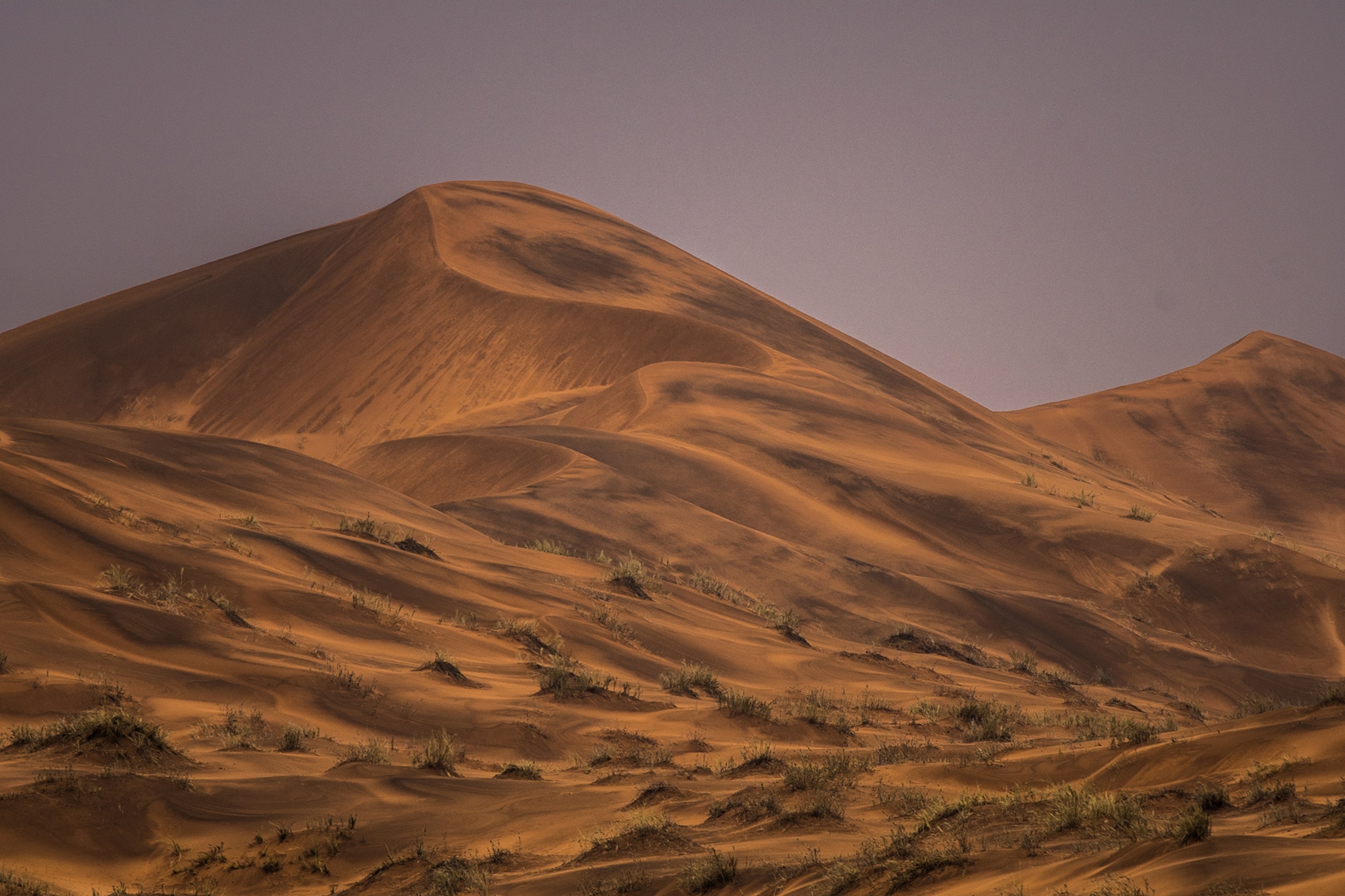 the large sand dunes of the Namib Desert wet after a rare desert rain storm in Namibia