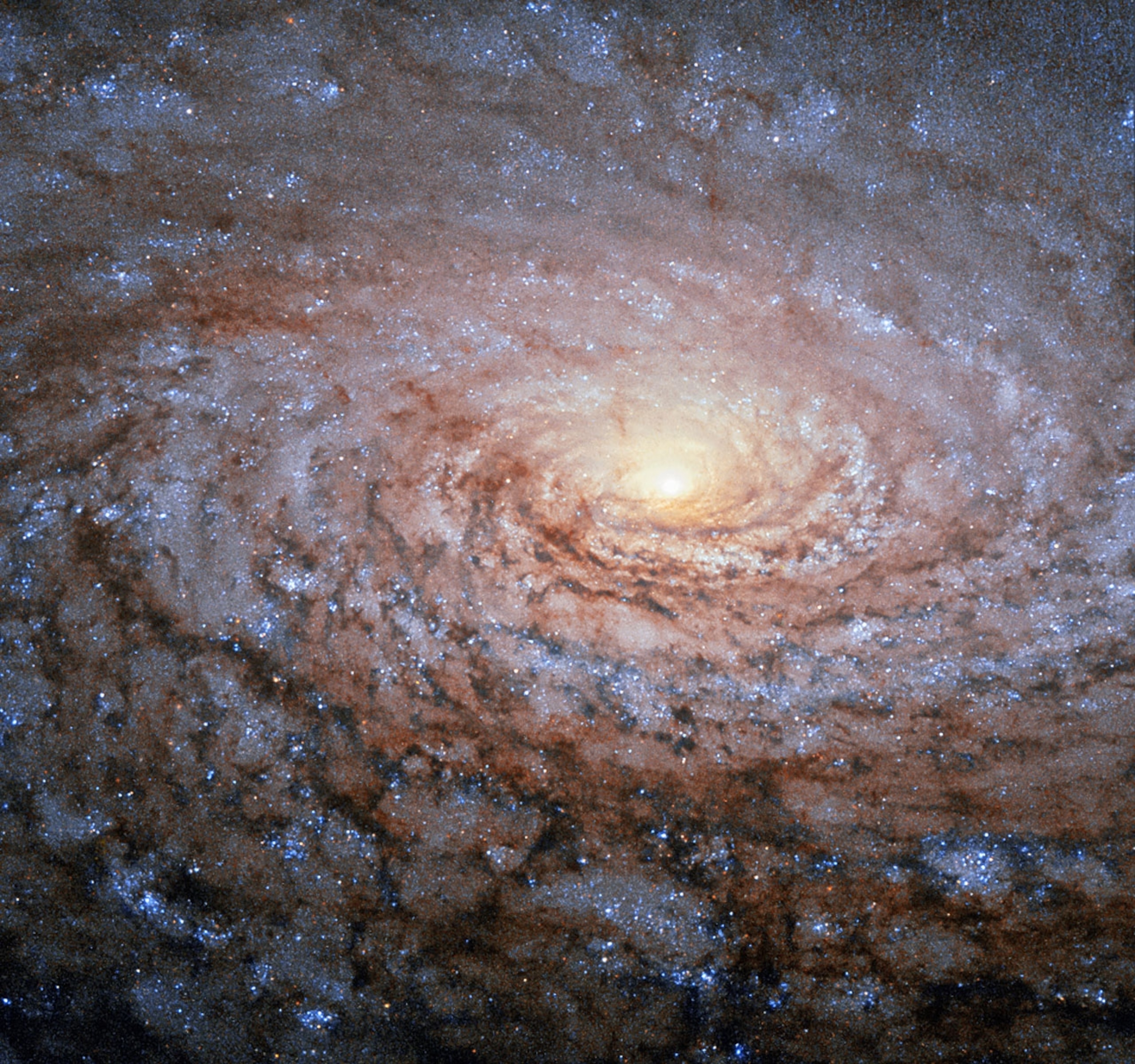galaxy messier 63
