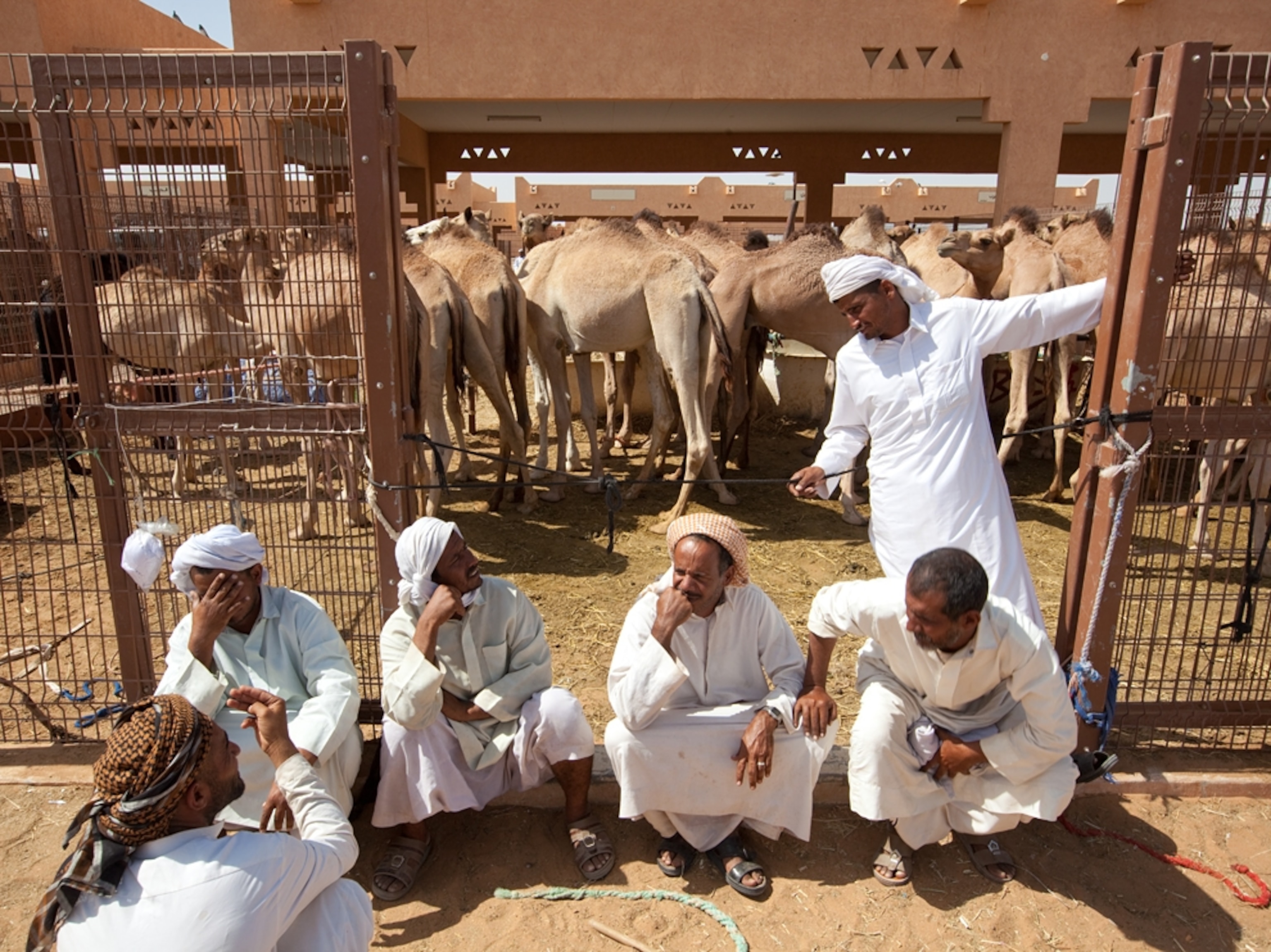 Men at the camel market in Al Ain, Abu Dhabi