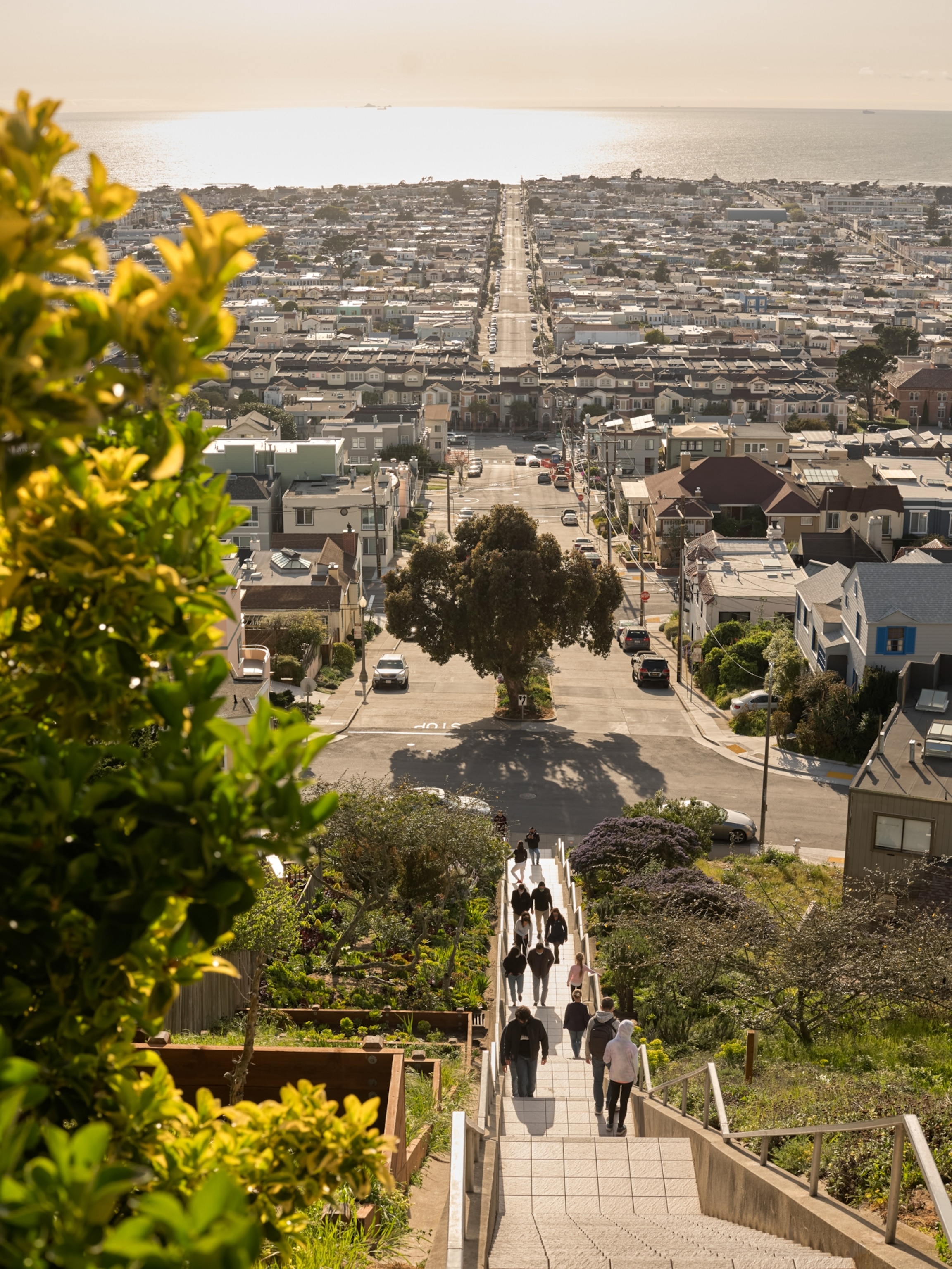A view looking down an outdoor staircase which meets a street that extends down to a body of water, broken only by a single row of homes.