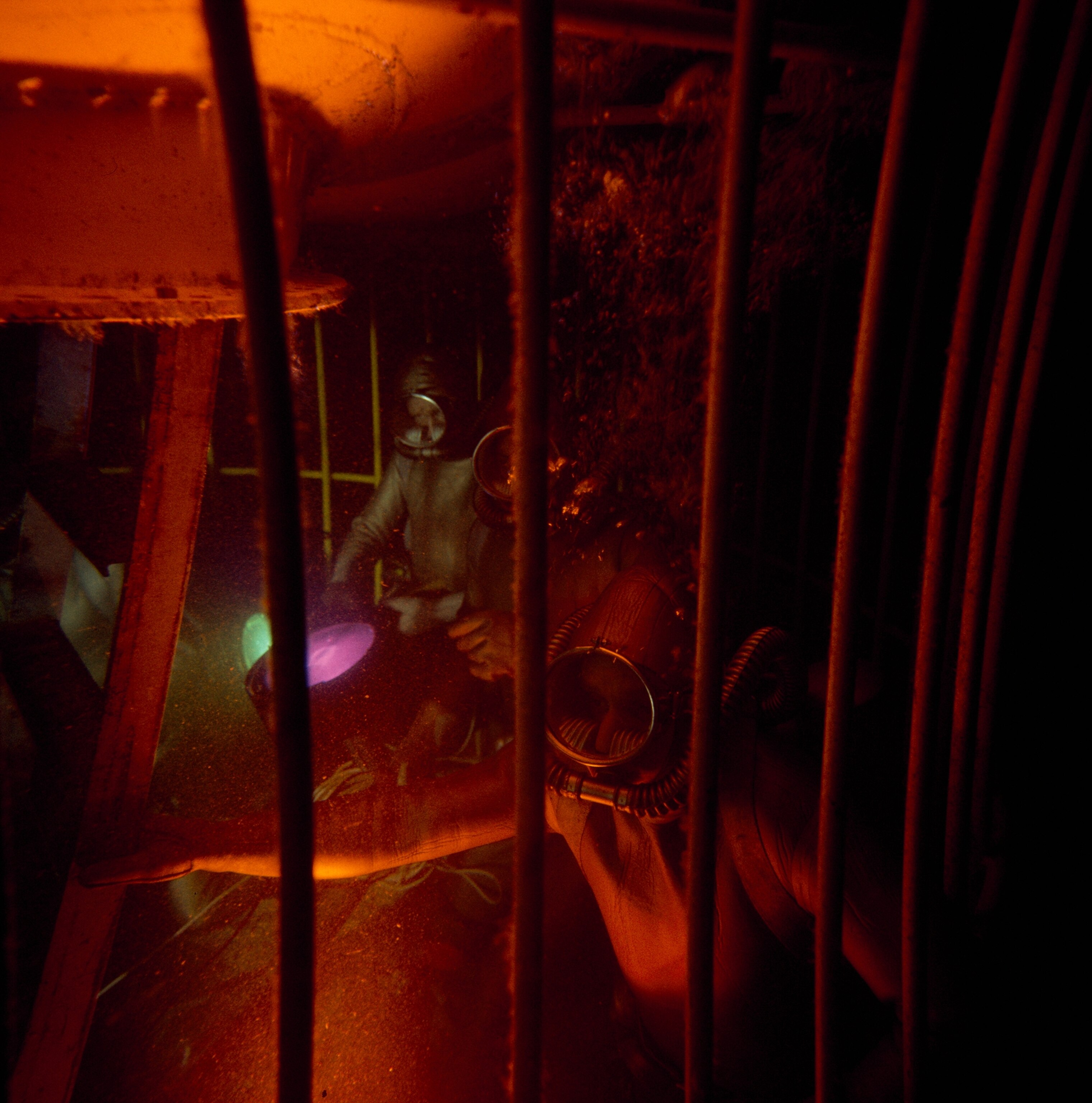 Divers are protected from sharks by a cage.