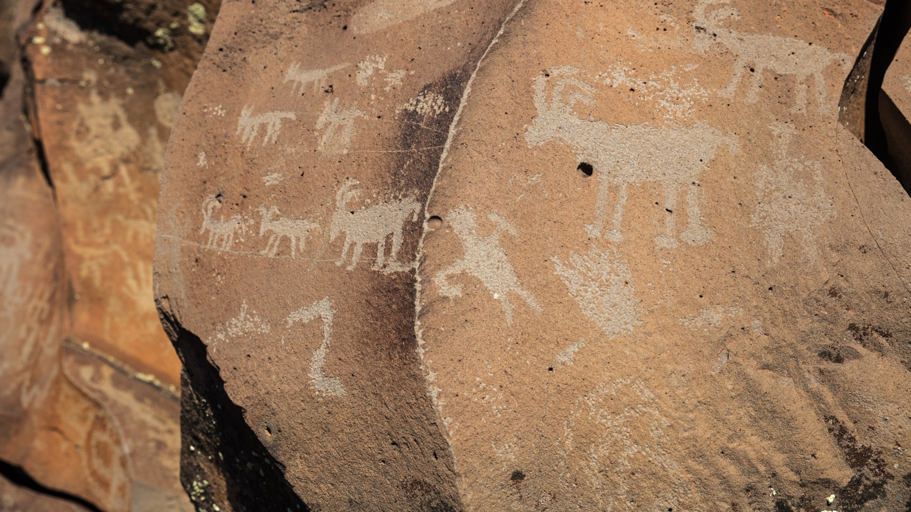 History & Culture