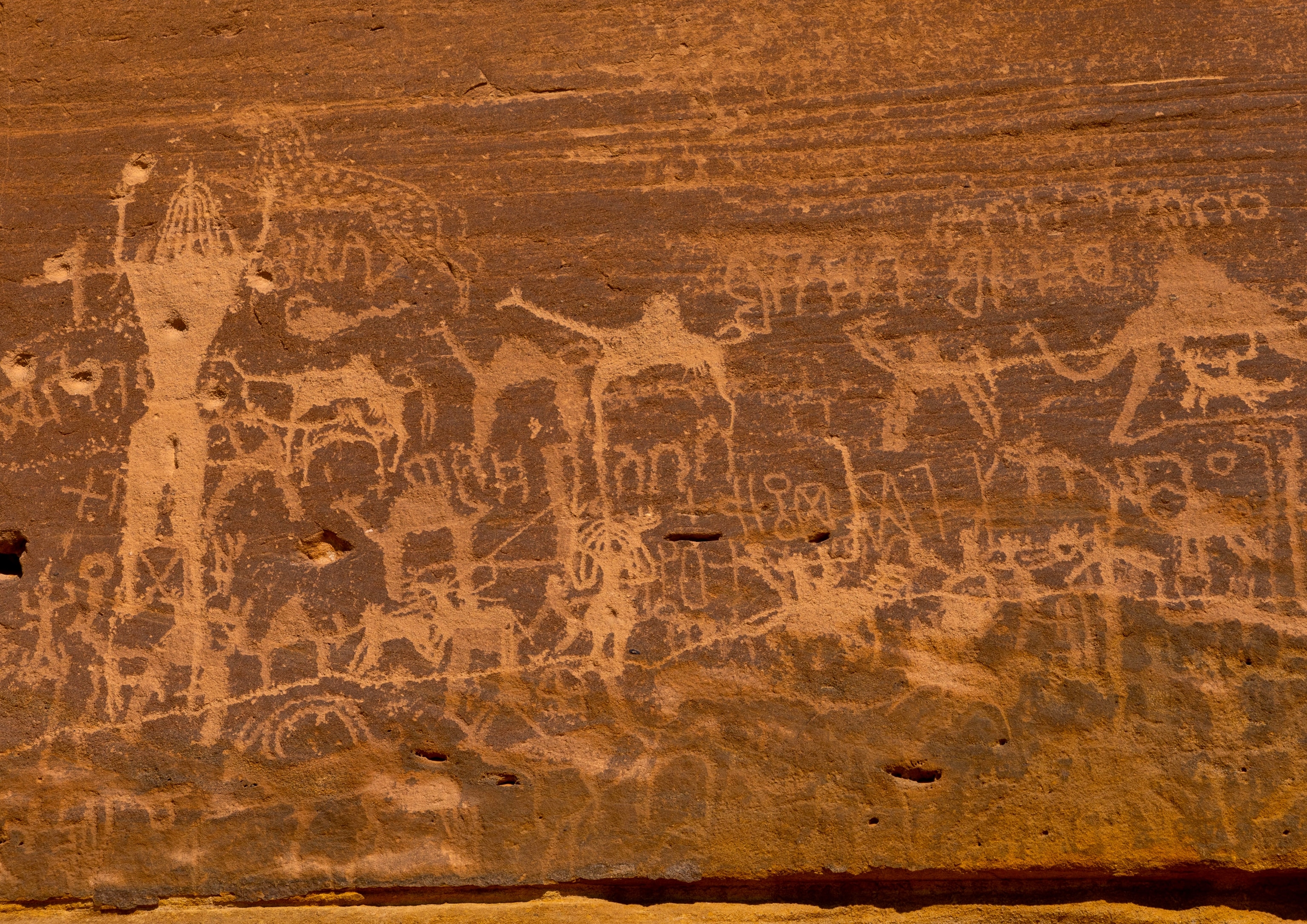 Ancient rock carvings etched into a sandstone cliff depict people, animals, and geometric symbols in a densely packed prehistoric scene.