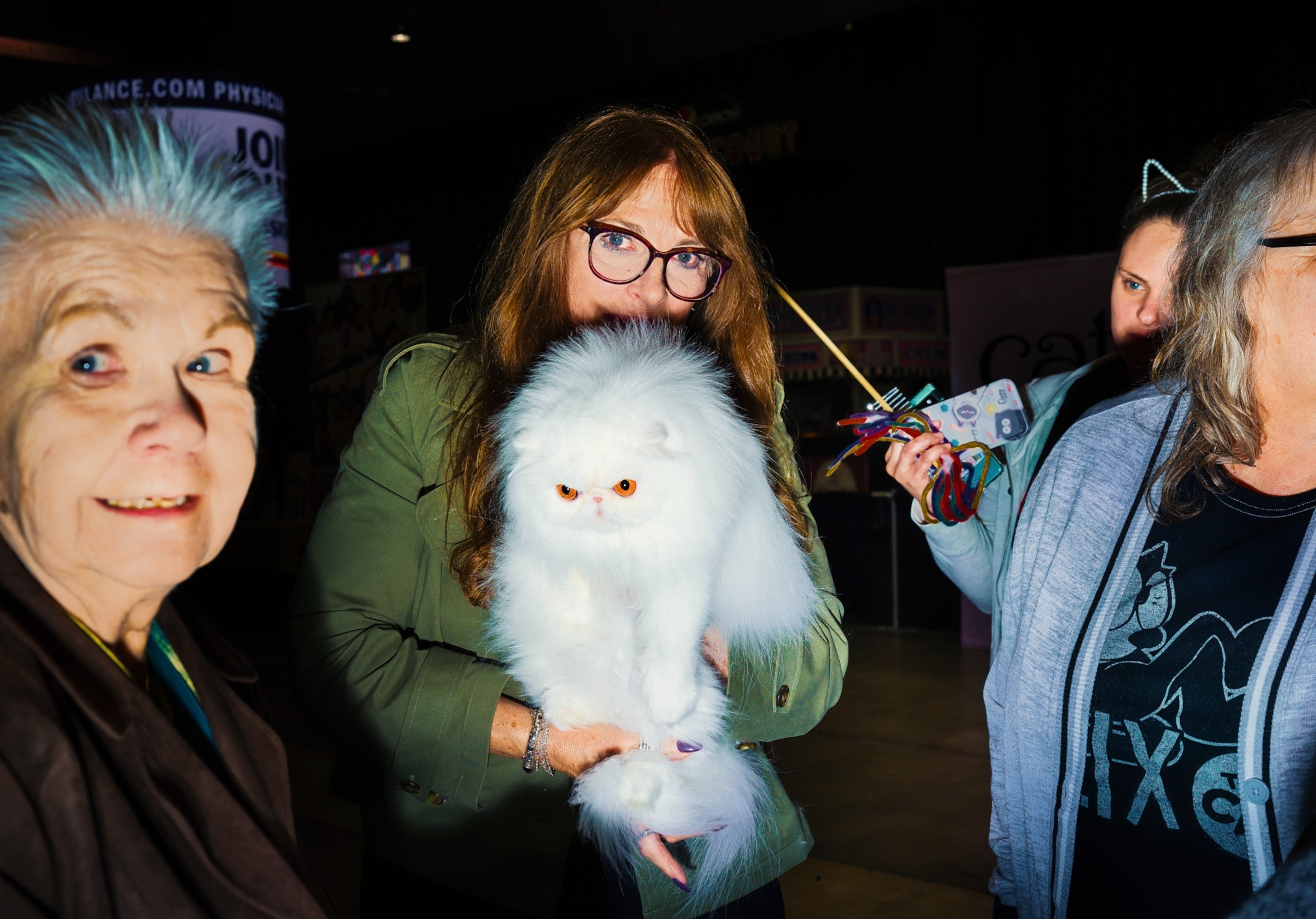 A woman holding up a white cat with orange eyes