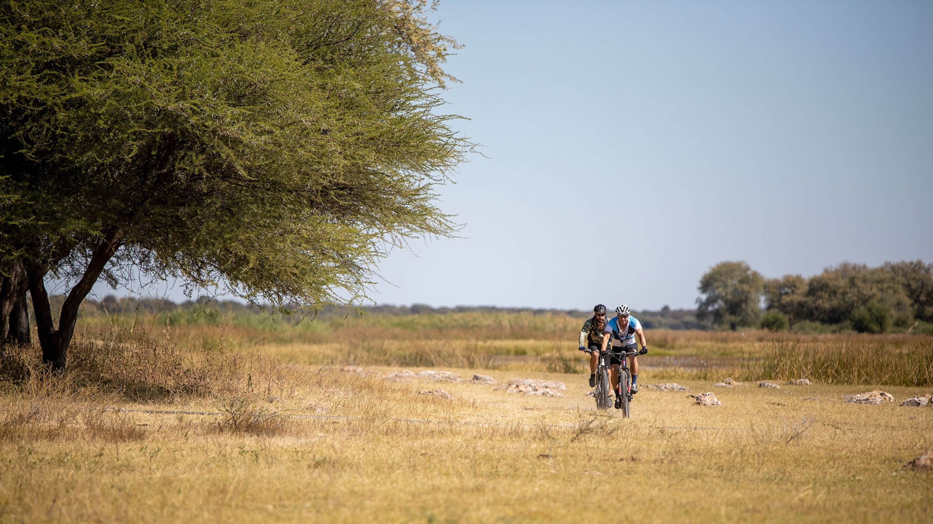 5 game drive alternatives, from cycling to horse-riding