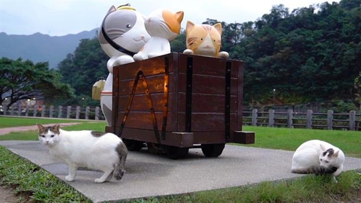 Explore Houtong Taiwan's 'Cat Village'