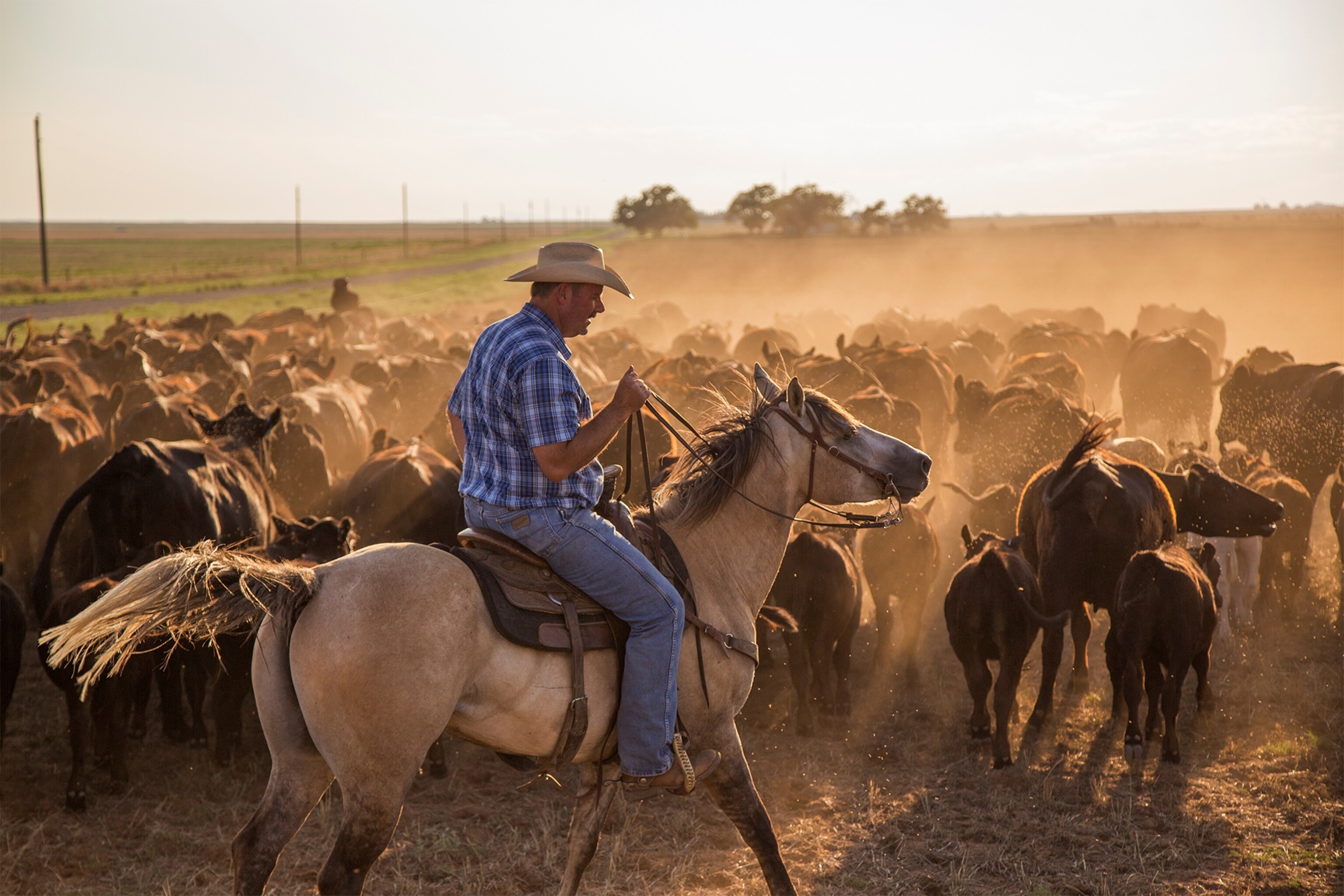a farmer walking through a dust storm