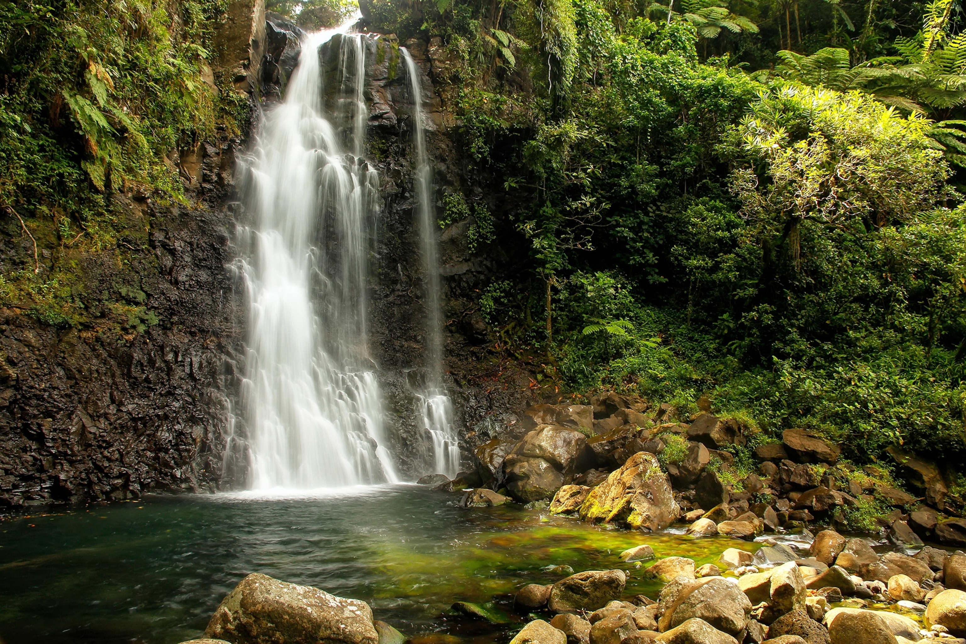 A waterfall on the left cascades down into a rocky pool surrounded by lush greenery