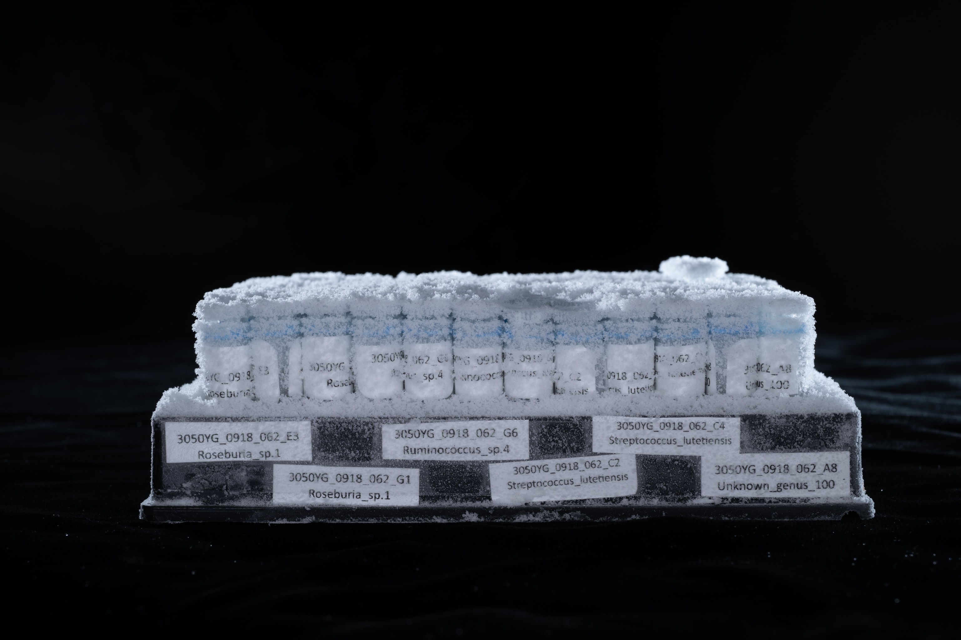 A collection of samples photographed on a black background.