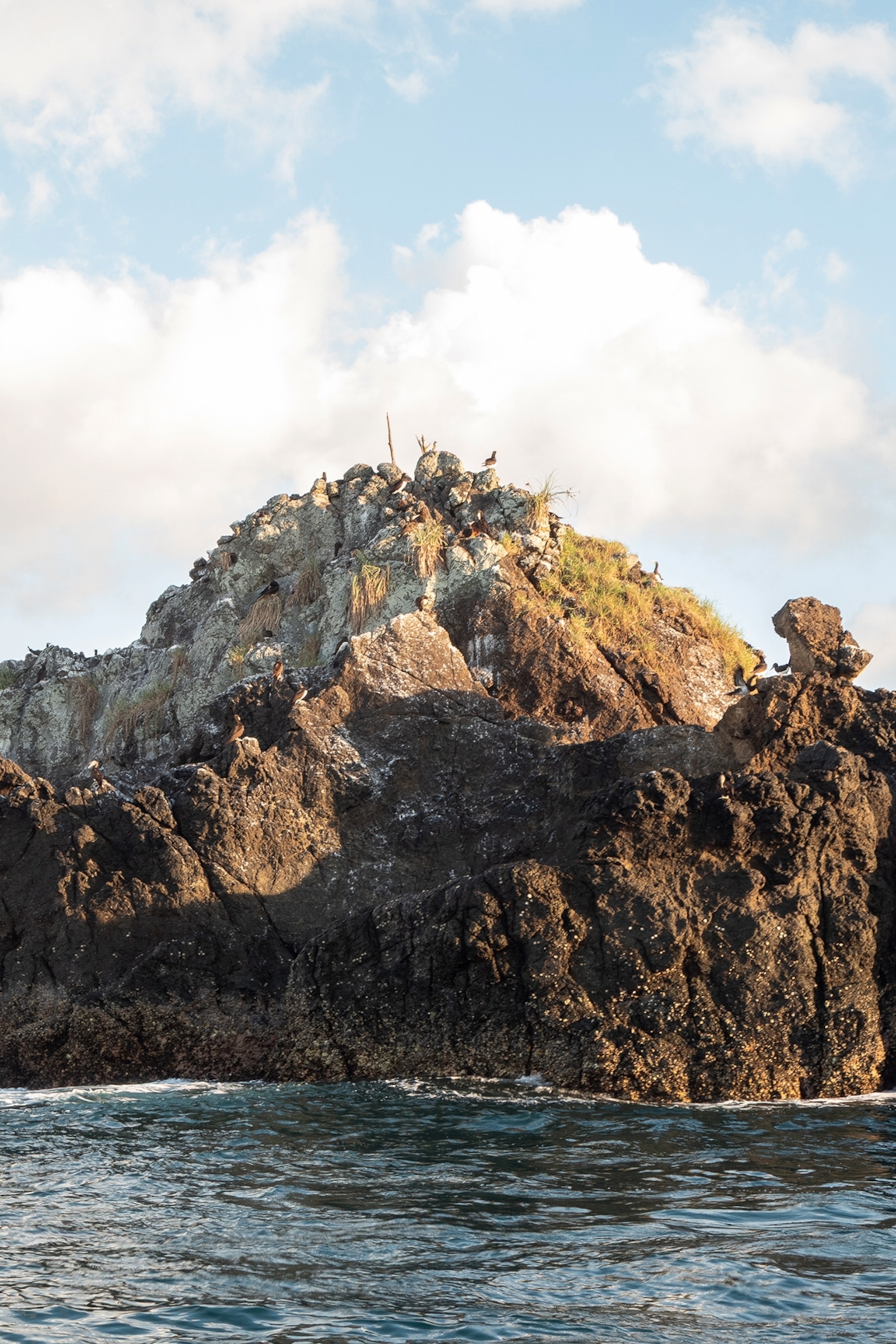 A rock island in the calm ocean with a flock of birds sitting at the top.