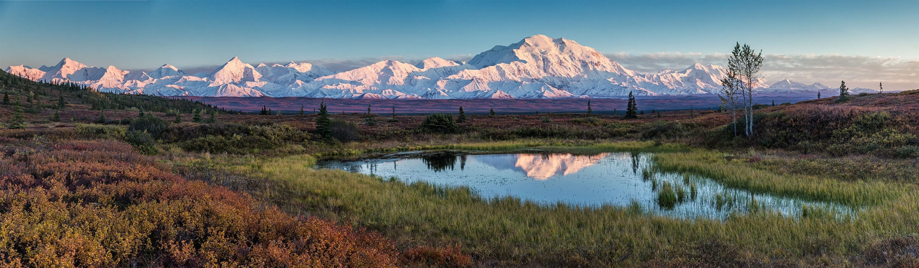 Ponds in fall colors under Mt McKinley (Denali) in Denali National park