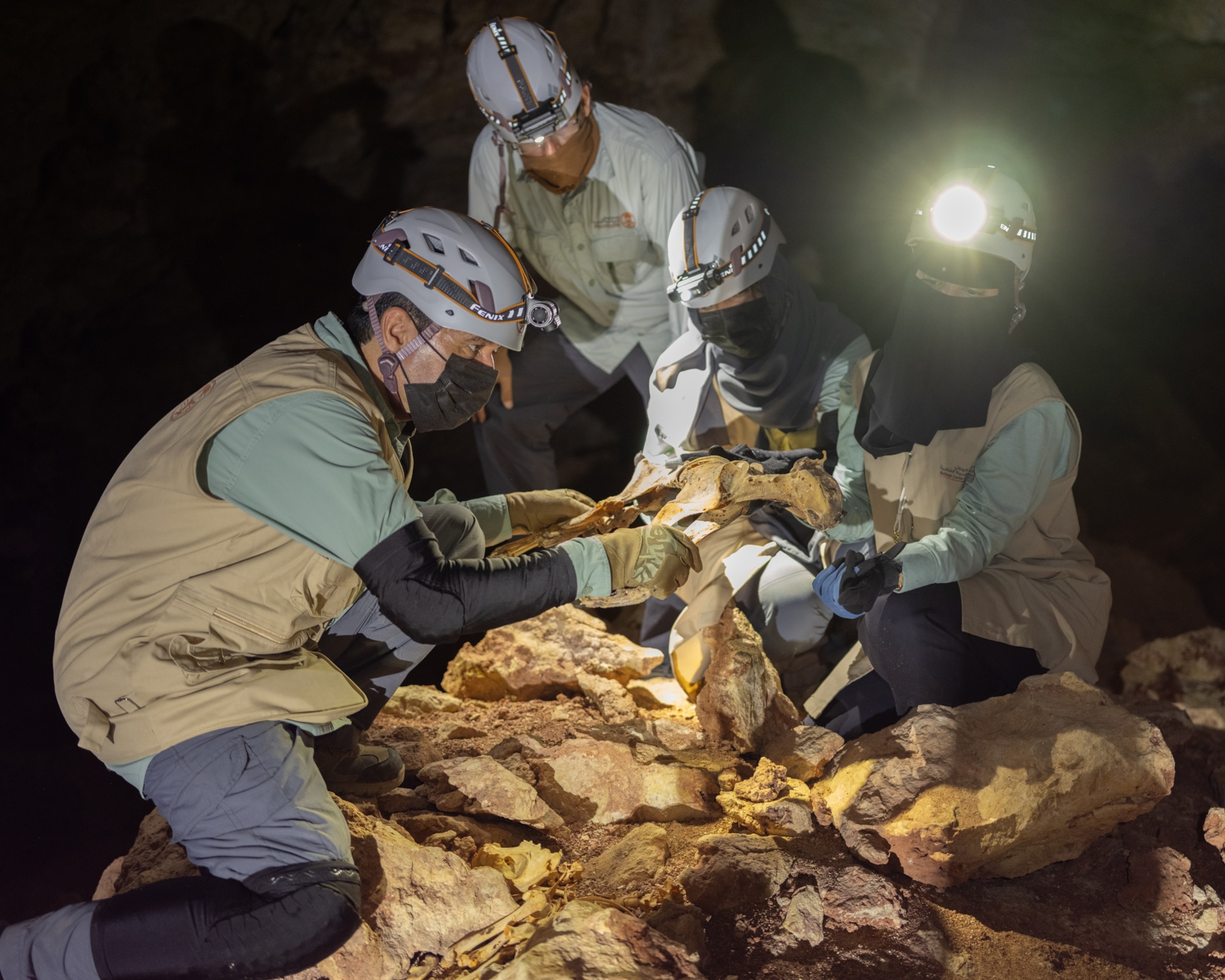 A group of researchers handling the mummified remains of a cheetah inside a dimly lit cave