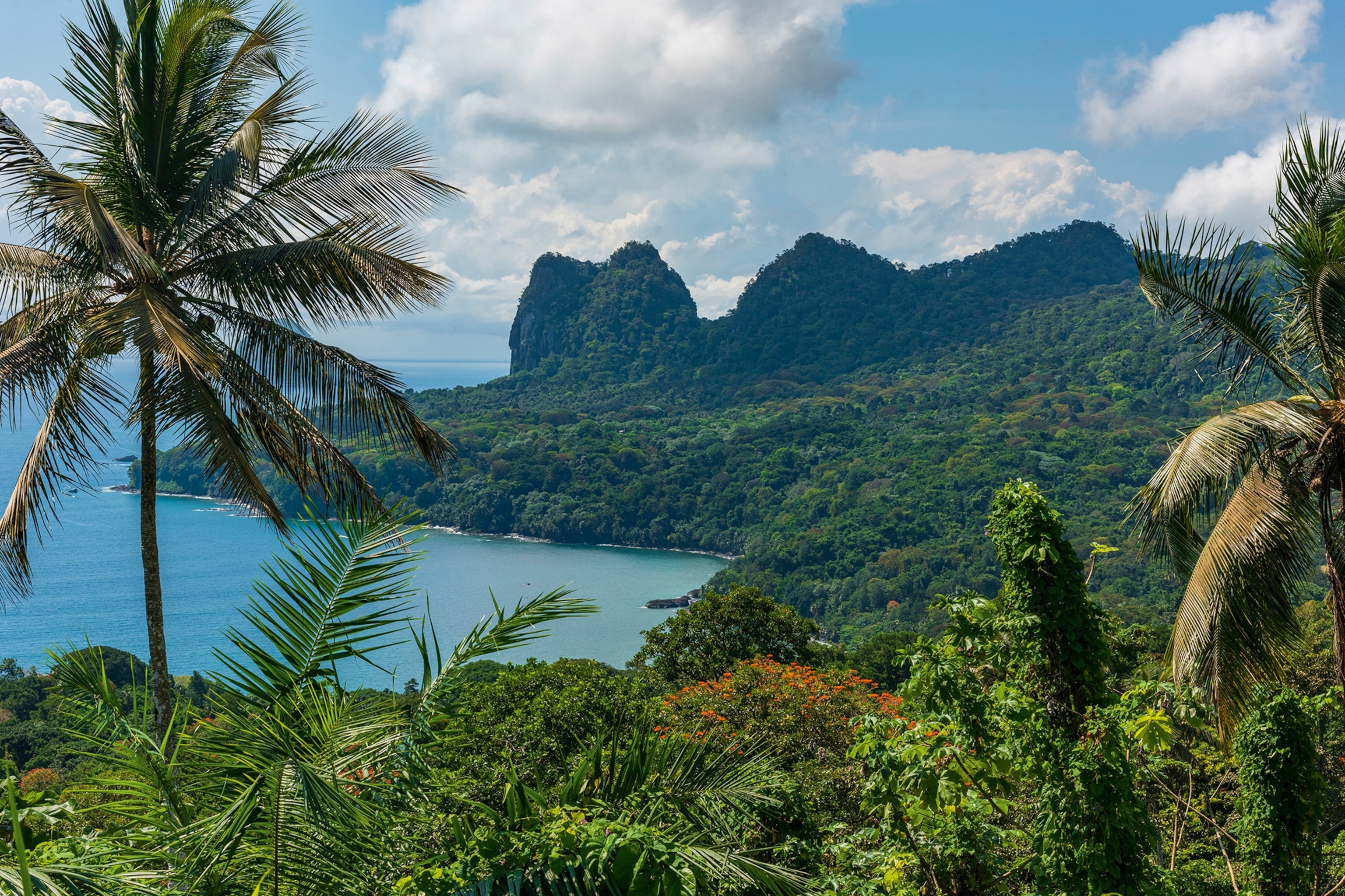 A coastal view from the heights of a tropical forest, opening up into a bay.