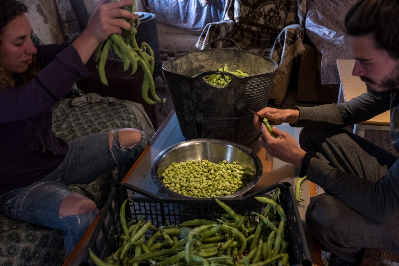 A group of people investing vegetables.