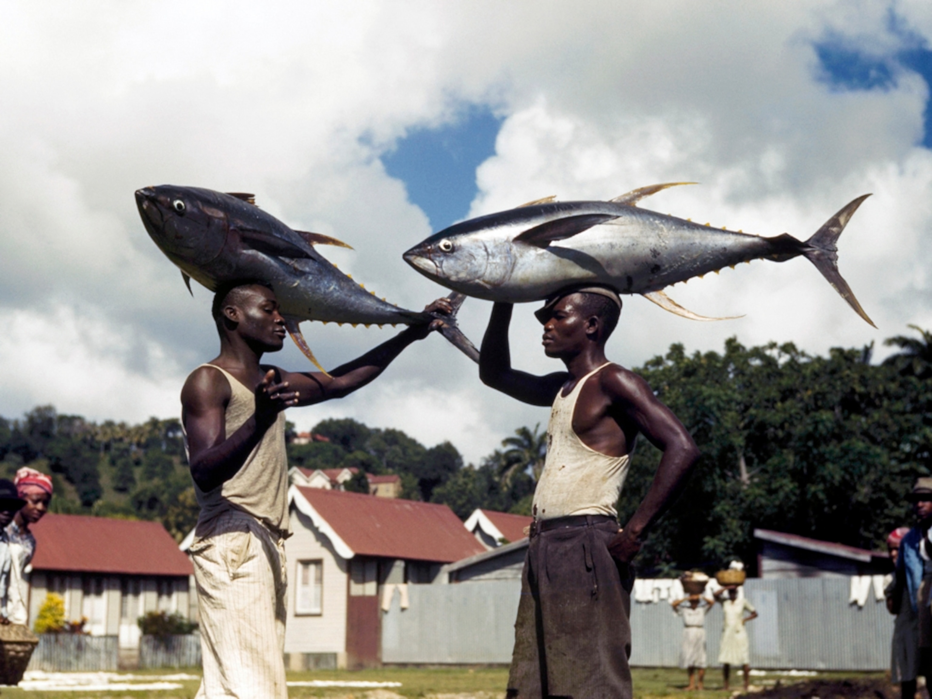 Fishermen balancing tuna on their heads