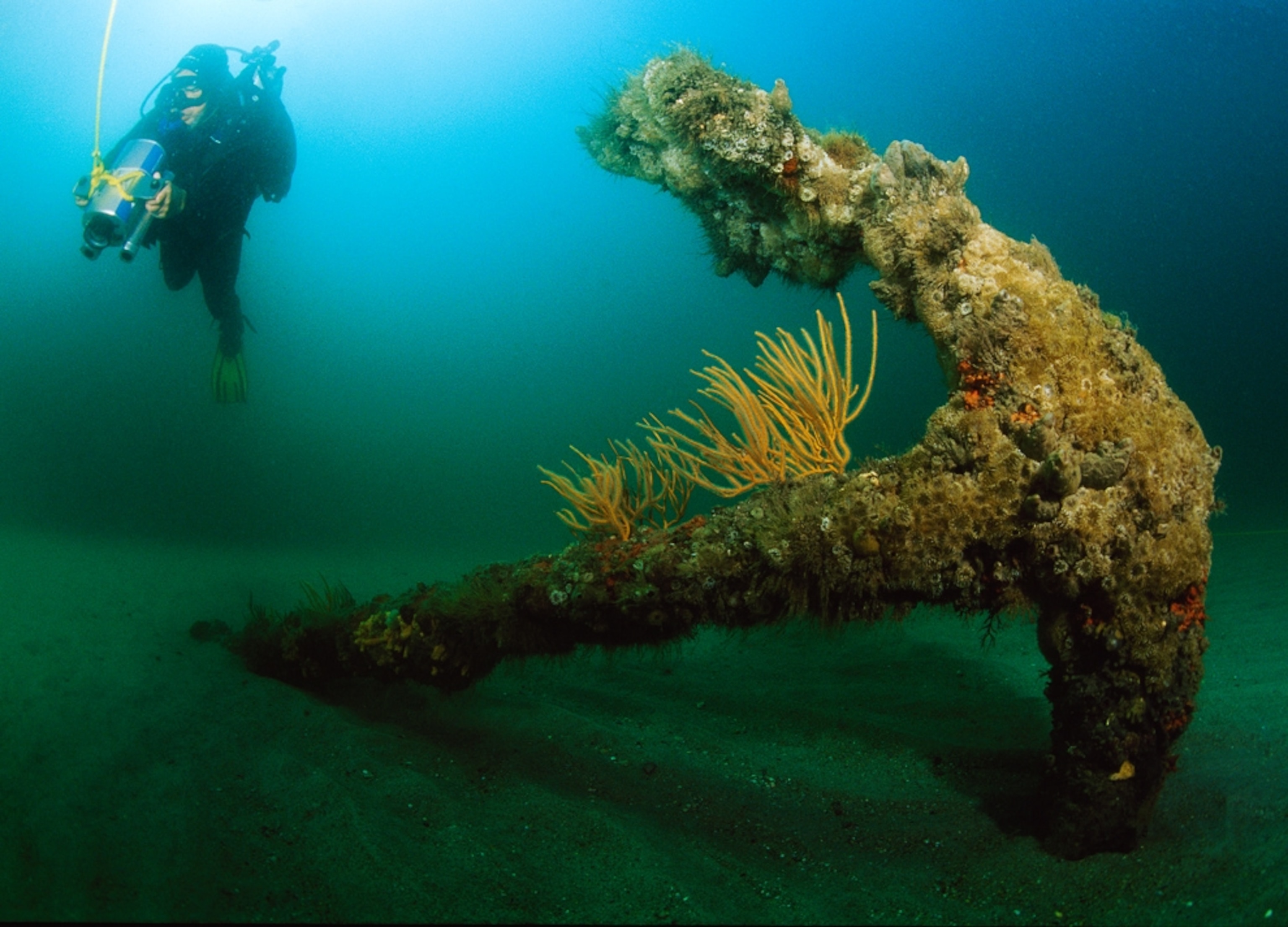 Sunken anchor -- picture from a photo gallery on a partial sword found at the shipwreck site of the Queen Anne's Revenge, the pirate Blackbeard's flagship.