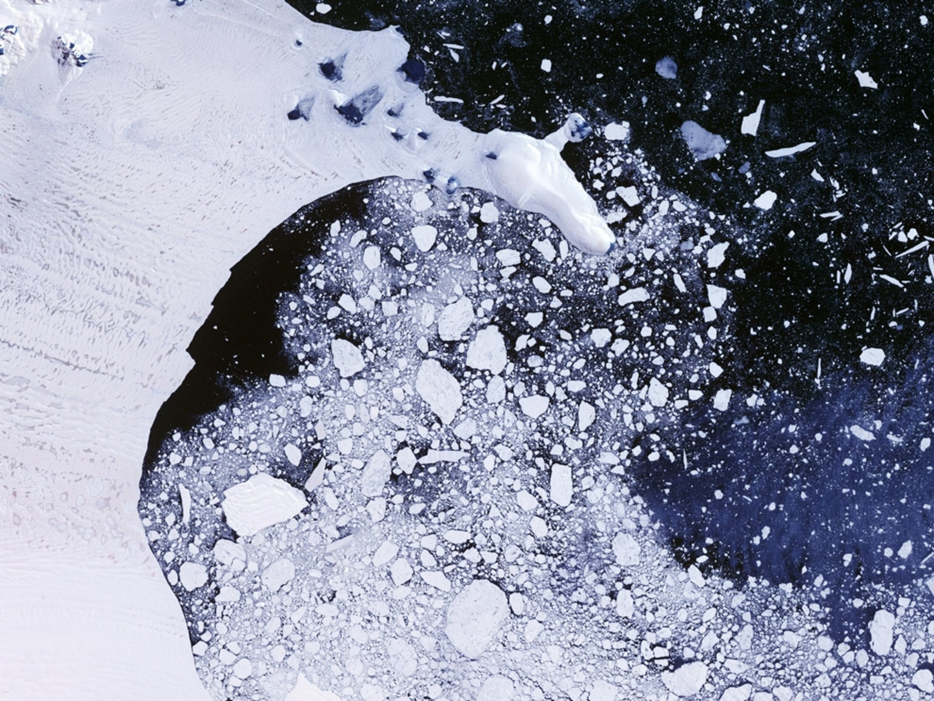 Satellite image of the Larsen B ice shelf in Antarctica