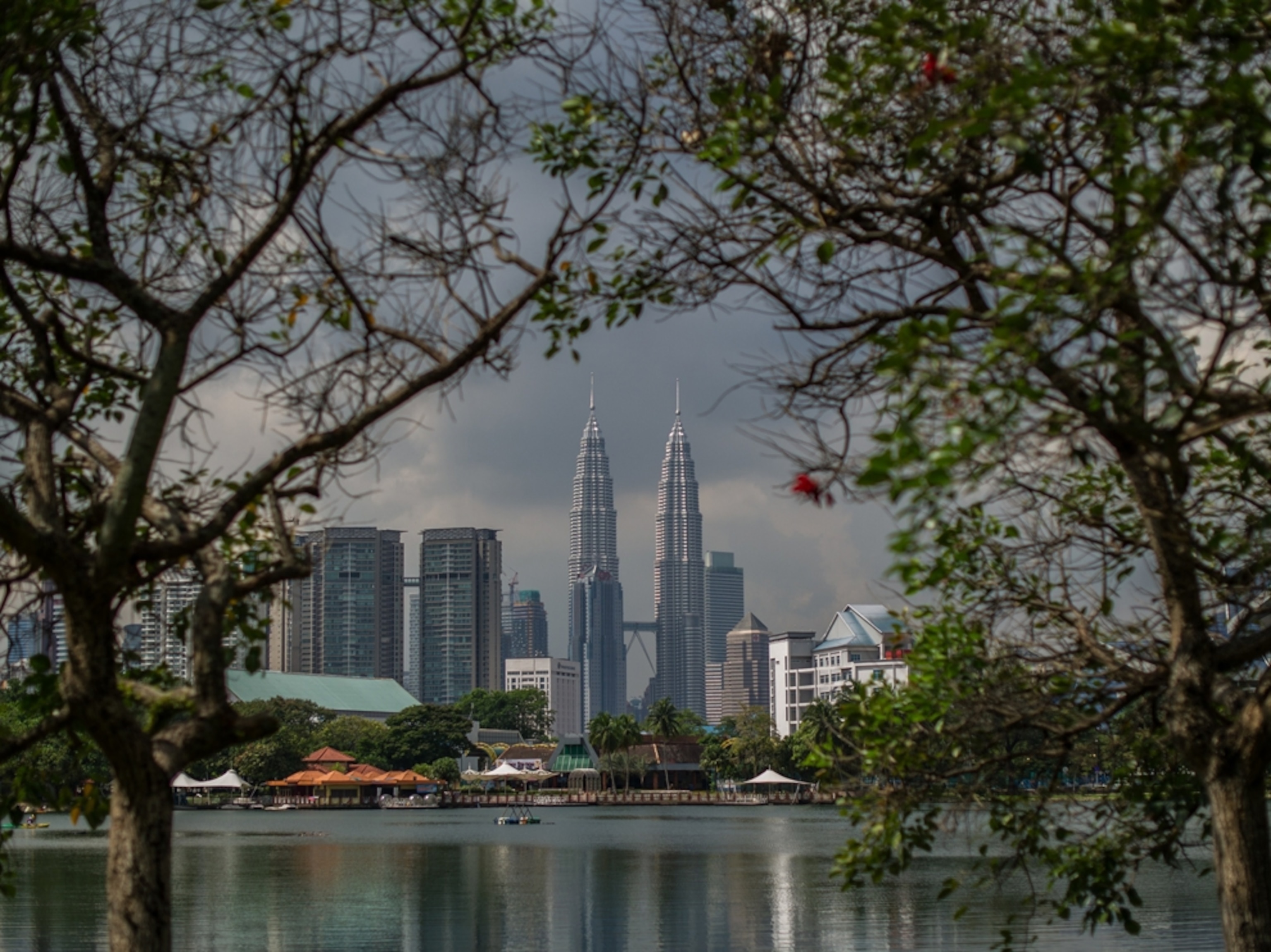 Malaysias landmark Petronas Twin Towers seen between trees in Kuala Lumpur.