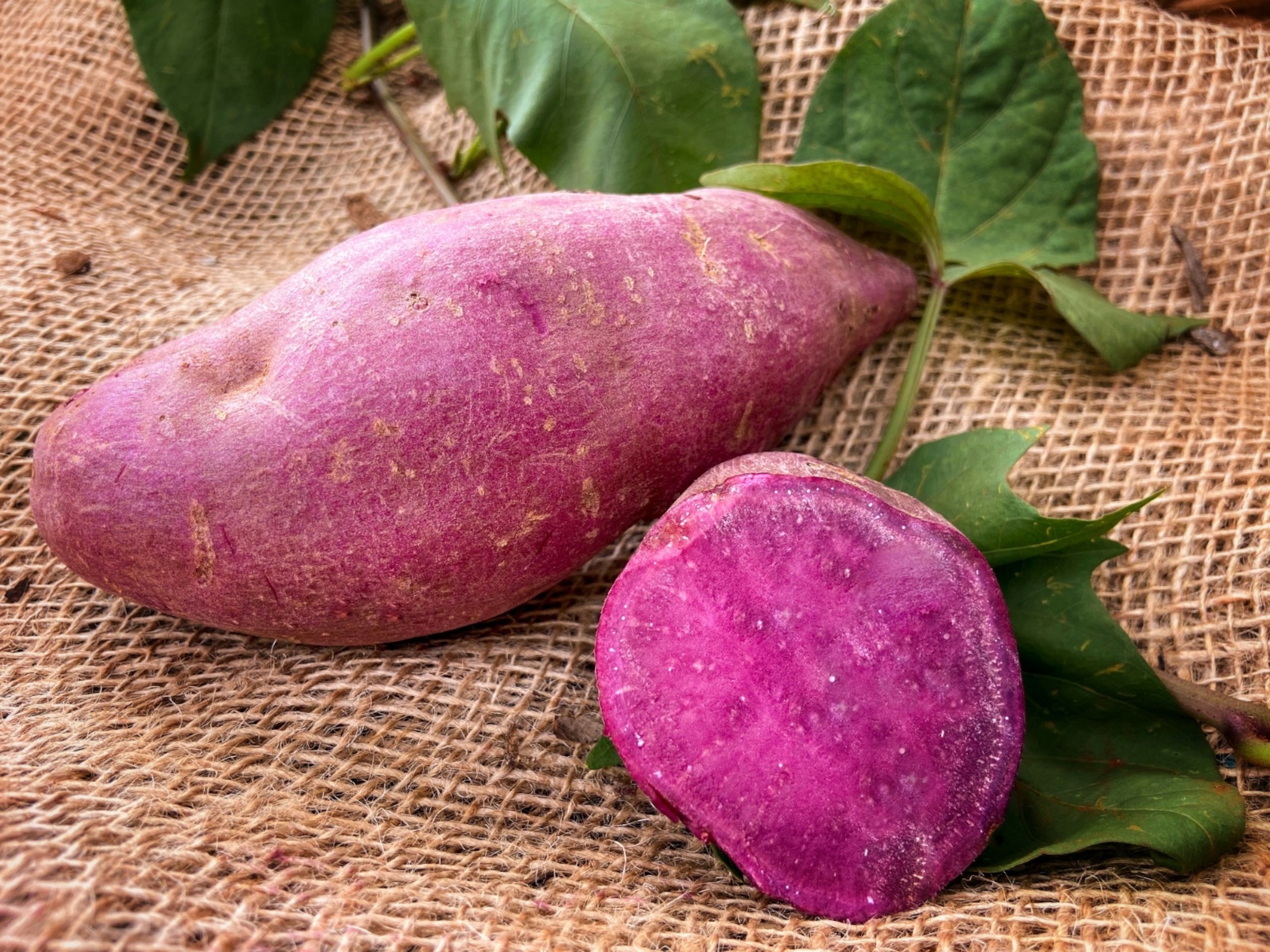 Two large red beets sit on burlap fabric, they looked just pulled from dirt