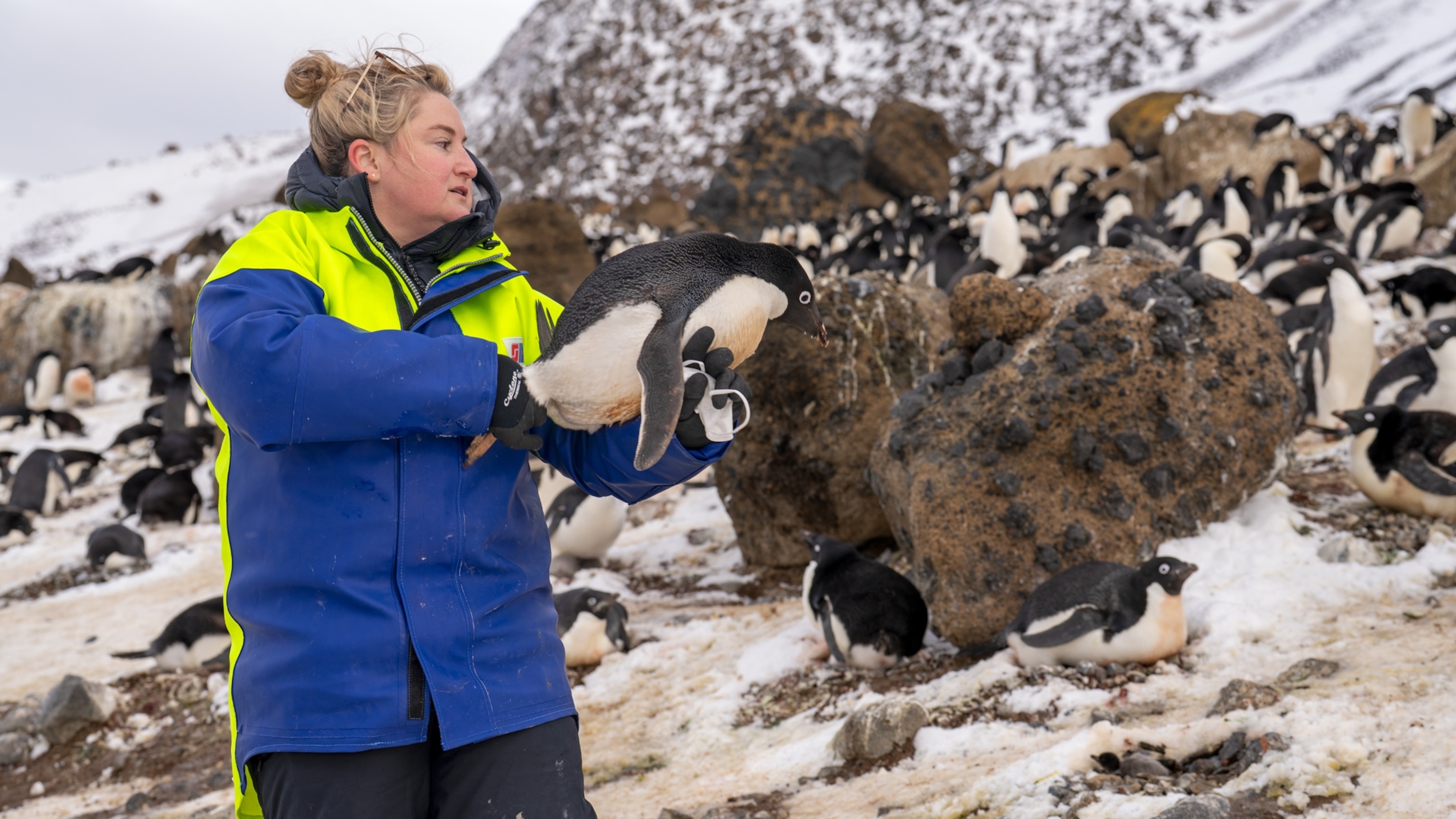 Tracking disease outbreaks to the ends of the Earth