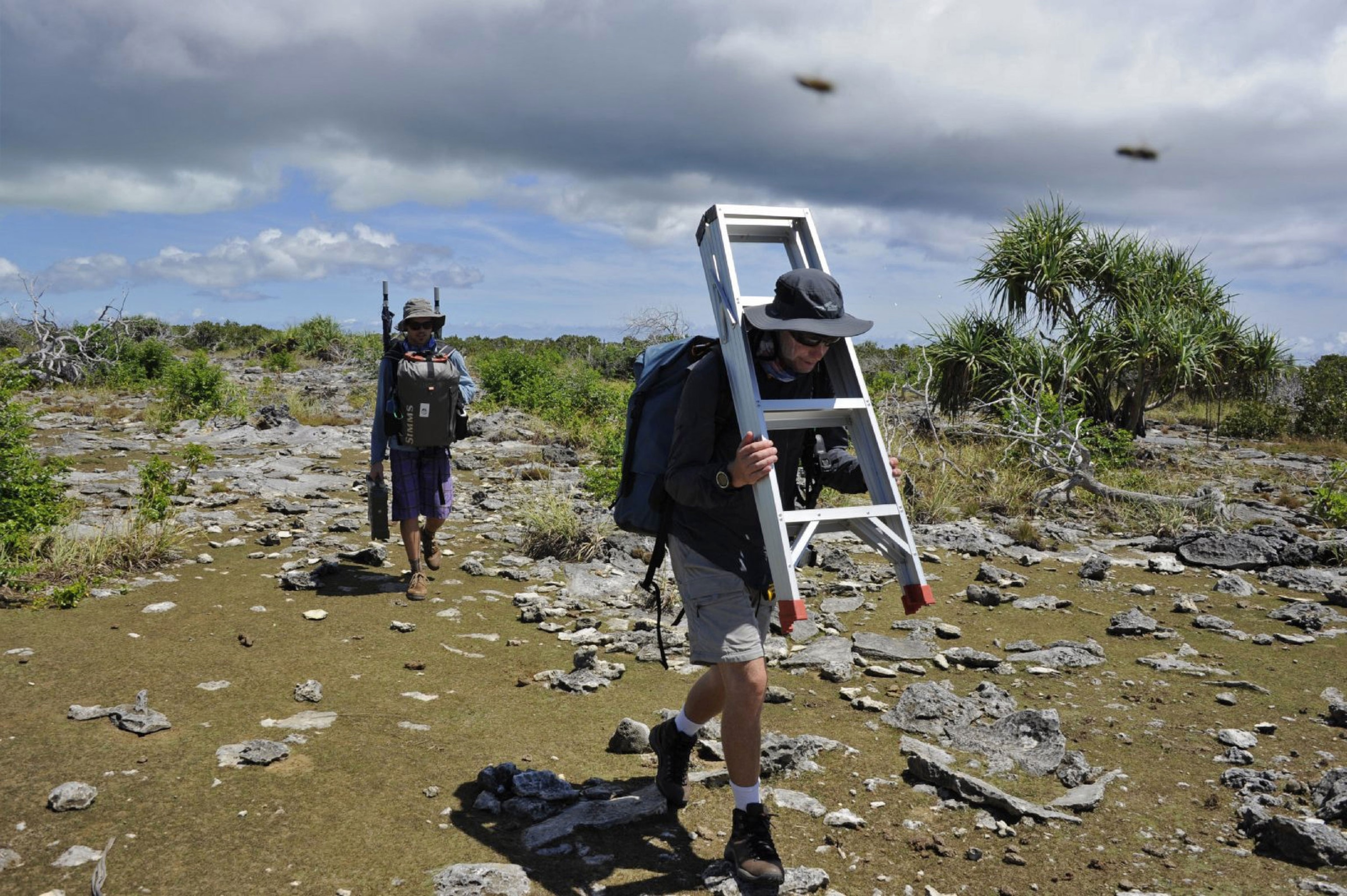 Thomas Peschak's assistants