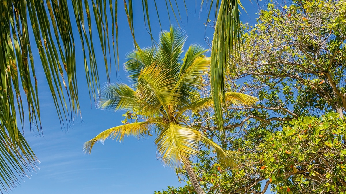 Try these Caribbean island alternatives for a crowd-free escape