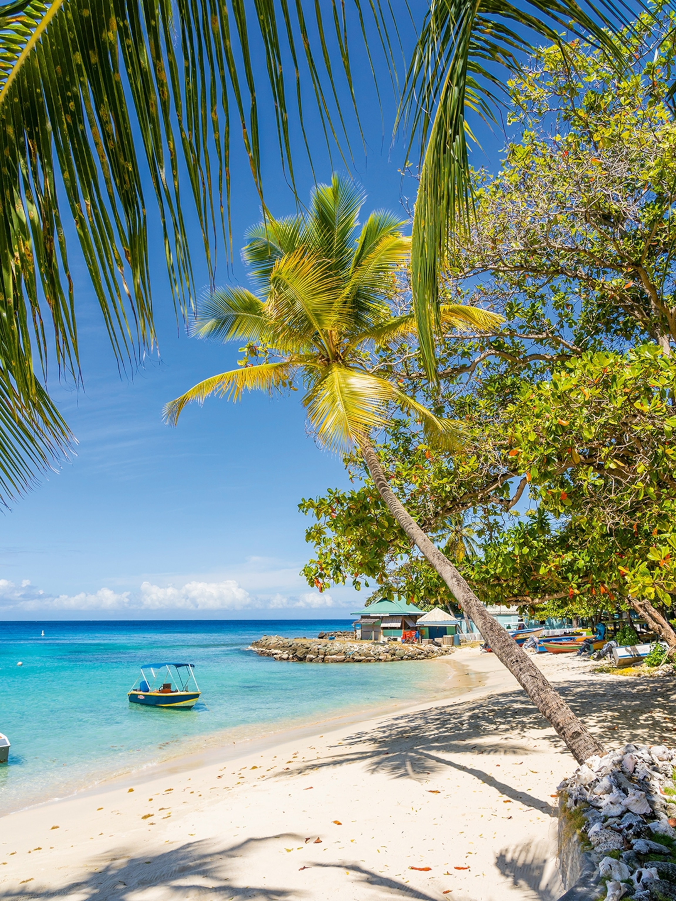 These hotels in Fiji are turning guests into conservationists | National  Geographic
